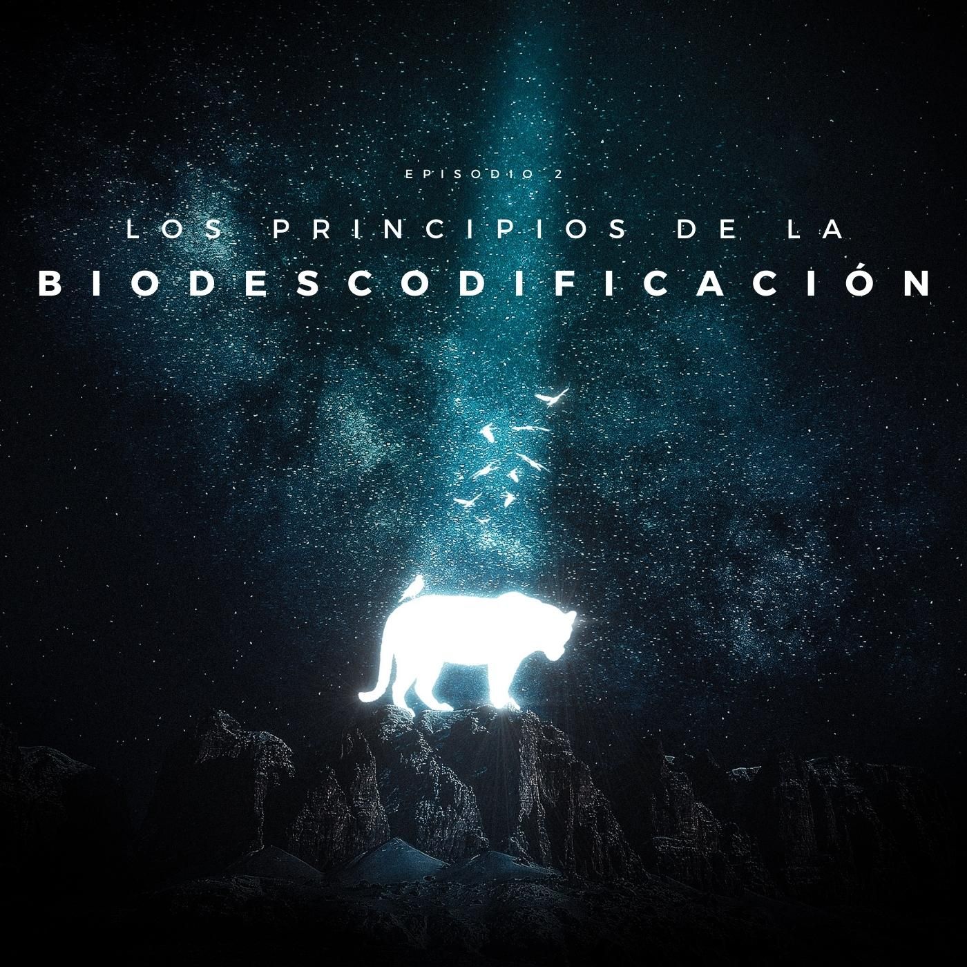Biodescodificación Para Todos