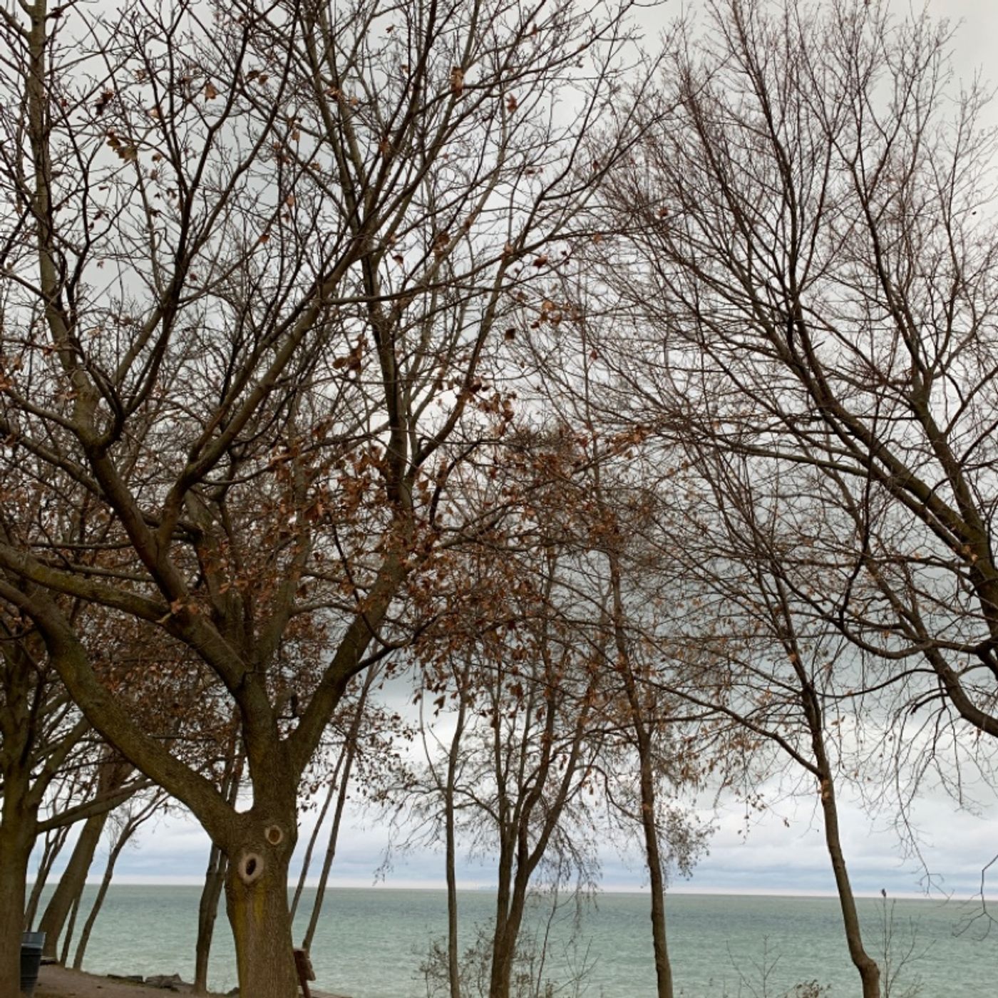 Prayer on the Go! - with Bishop Deb