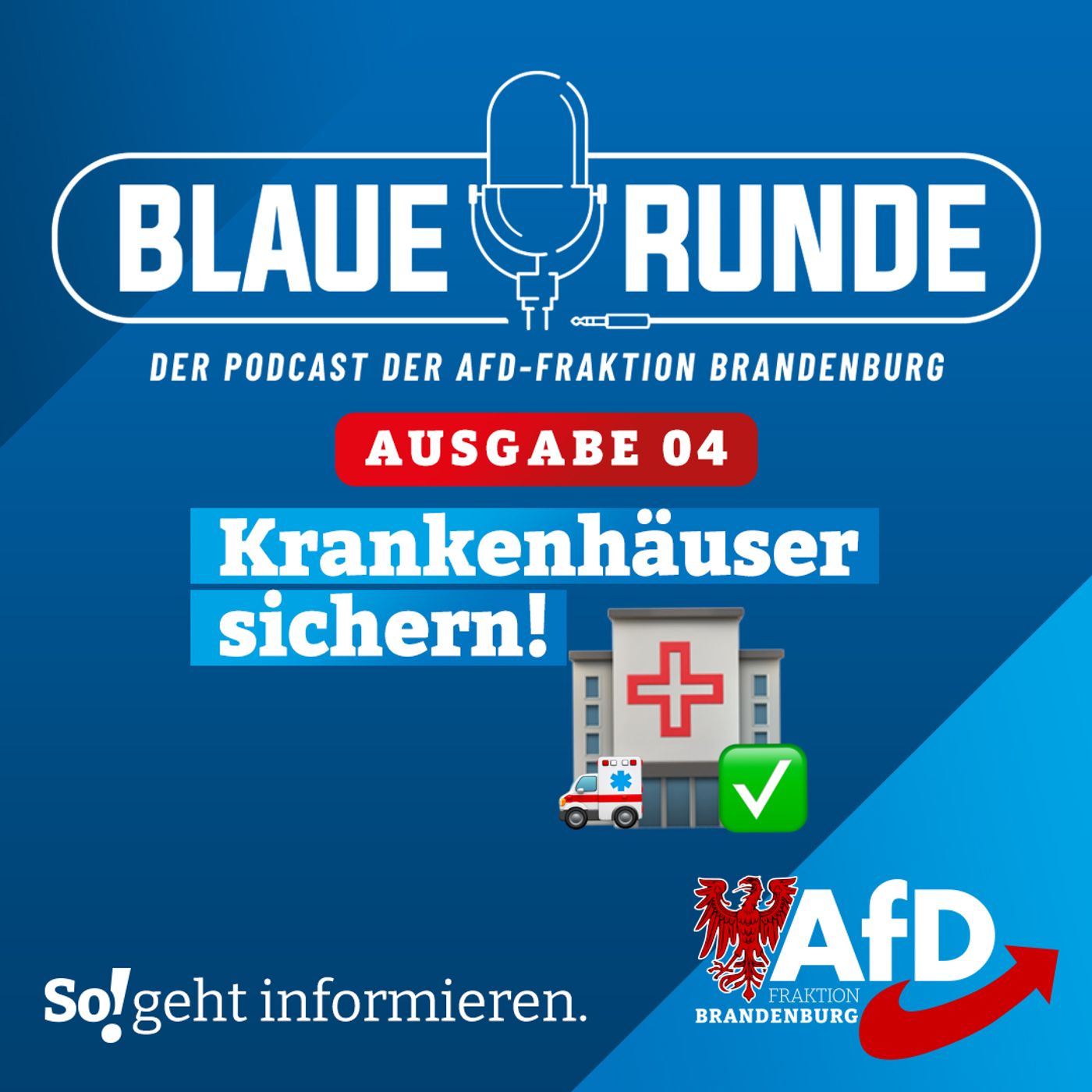 Krankenhäuser sichern! |  Die Blaue Runde, Ausgabe 04/24 vom 24.01.2024 episode artwork