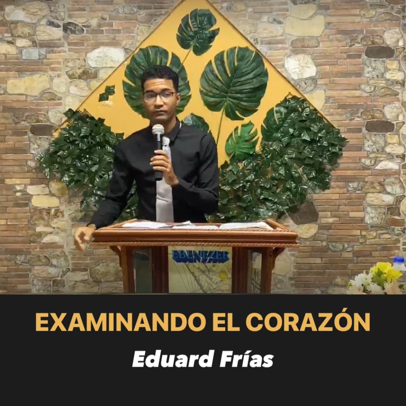 Examinando mi Corazón - Eduard Frías