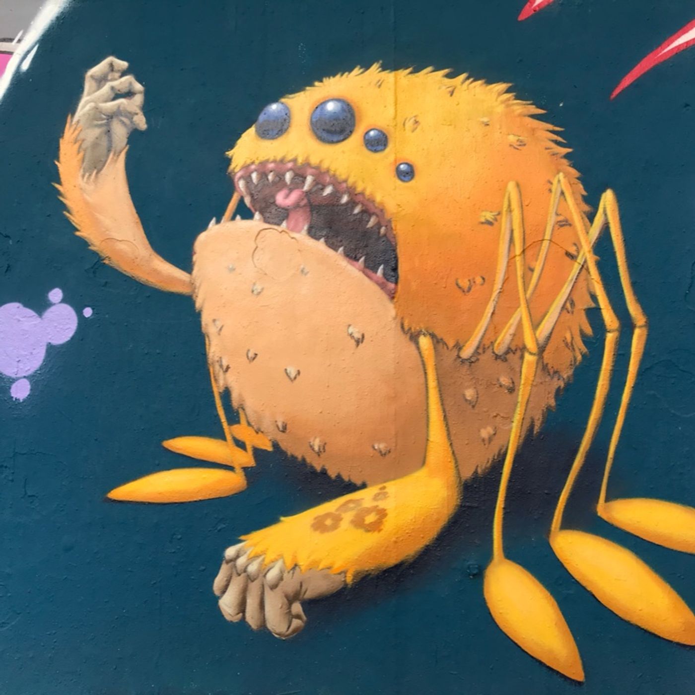 Le Pigne in Testa