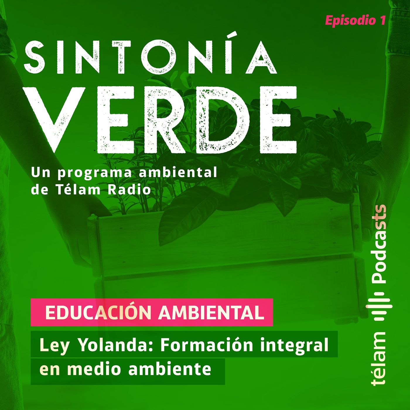 Sintonía Verde, un programa ambiental