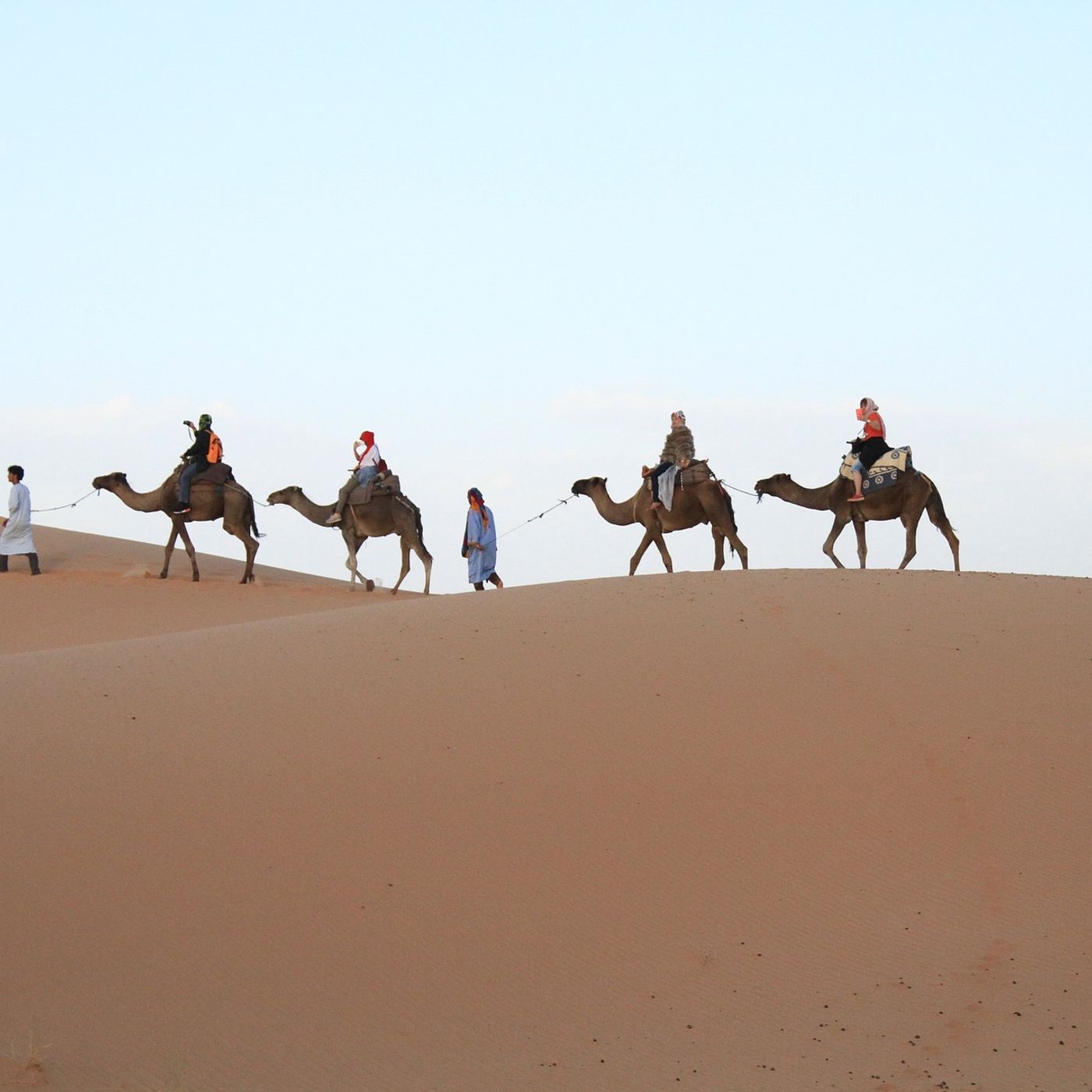 Il segreto del deserto Sahara episode artwork