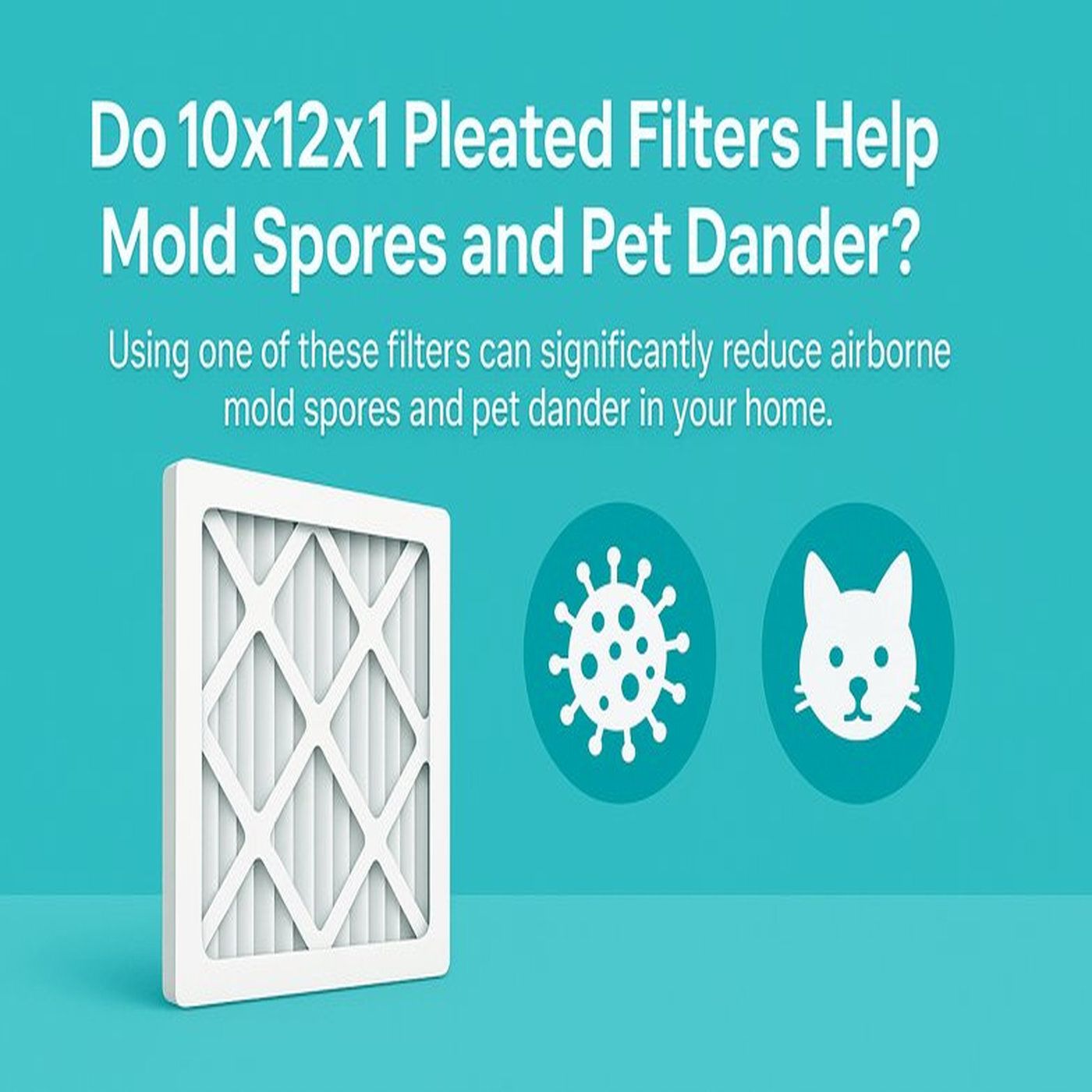 Does a 10x12x1 Pleated Filter Help With Mold Spores and Pet Dander? episode artwork