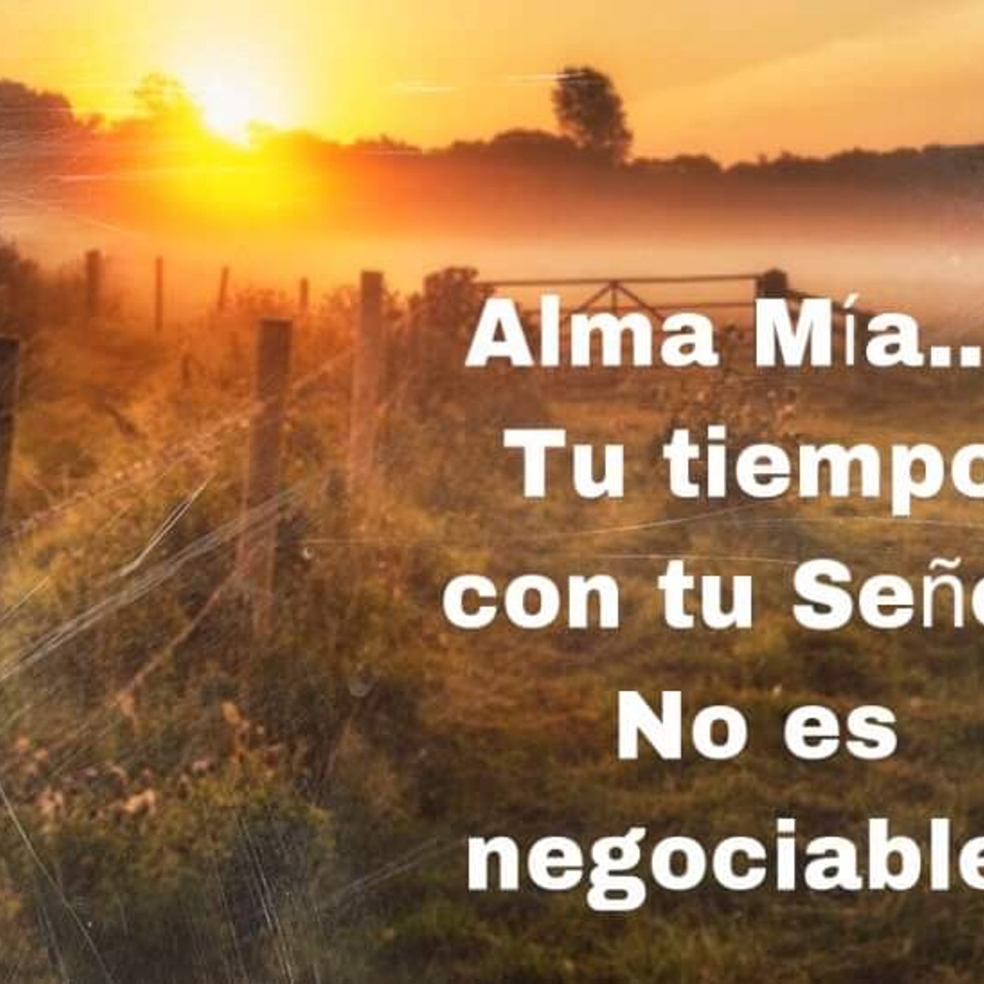 Alma Mía