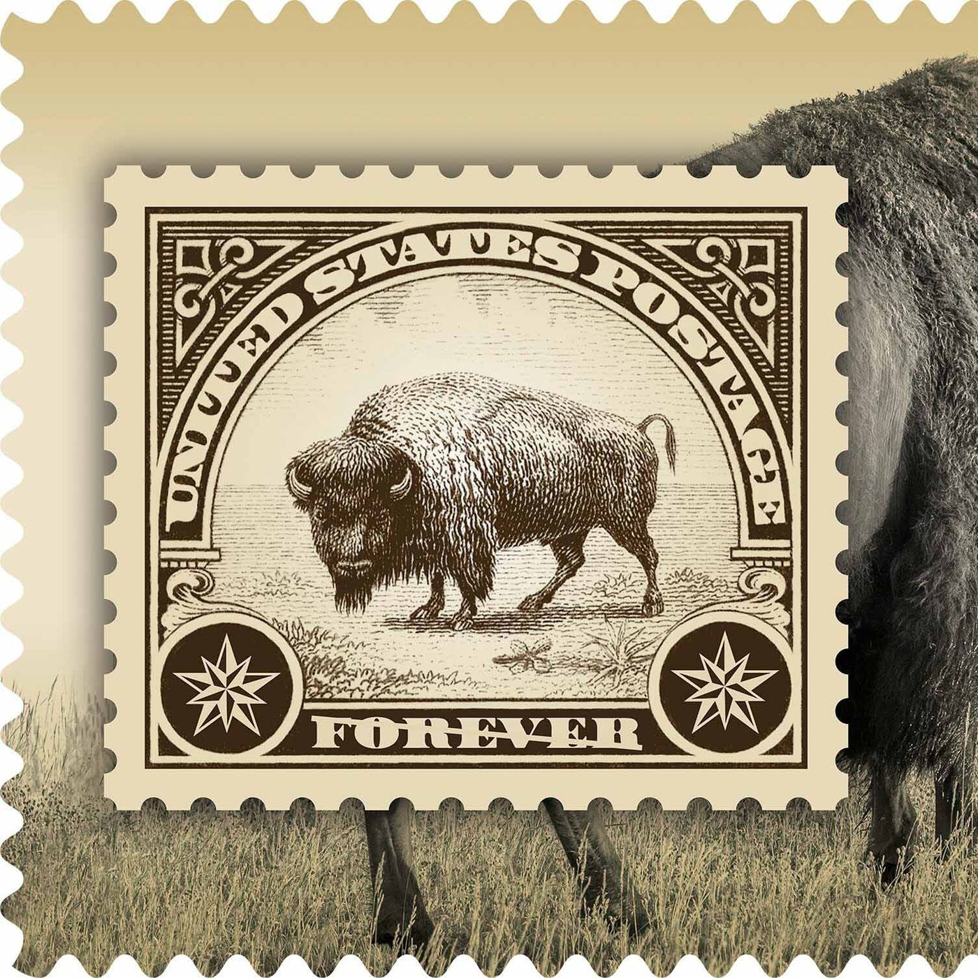 From the Wild to a Postage Stamp: Interview with the Wildlife Photography Legend Tom Murphy