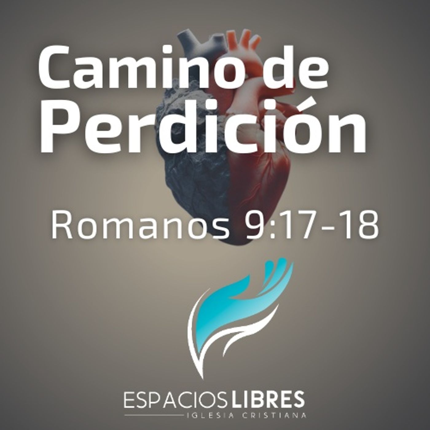 IGLESIA CRISTIANA ESPACIOS LIBRES