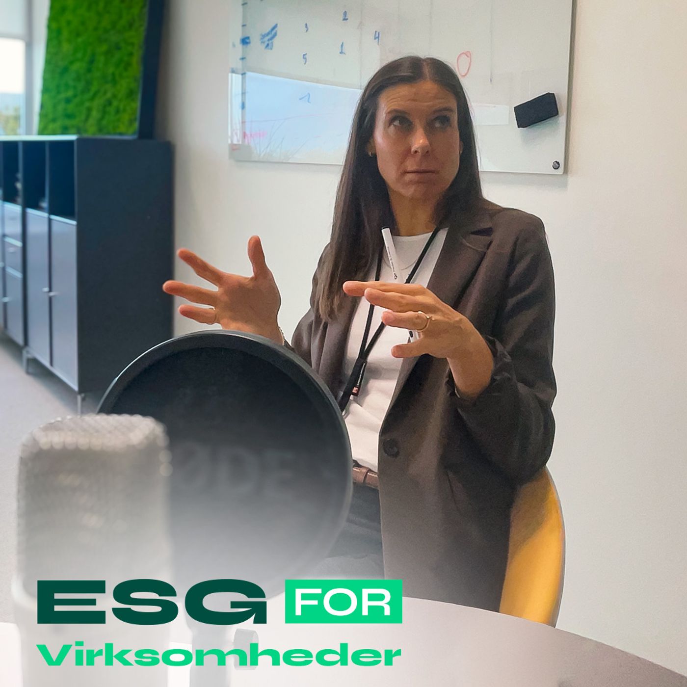 05 ESG som strategisk løftestang hos Lemvigh-Müller – med Pernille Kjær Sørensen episode artwork