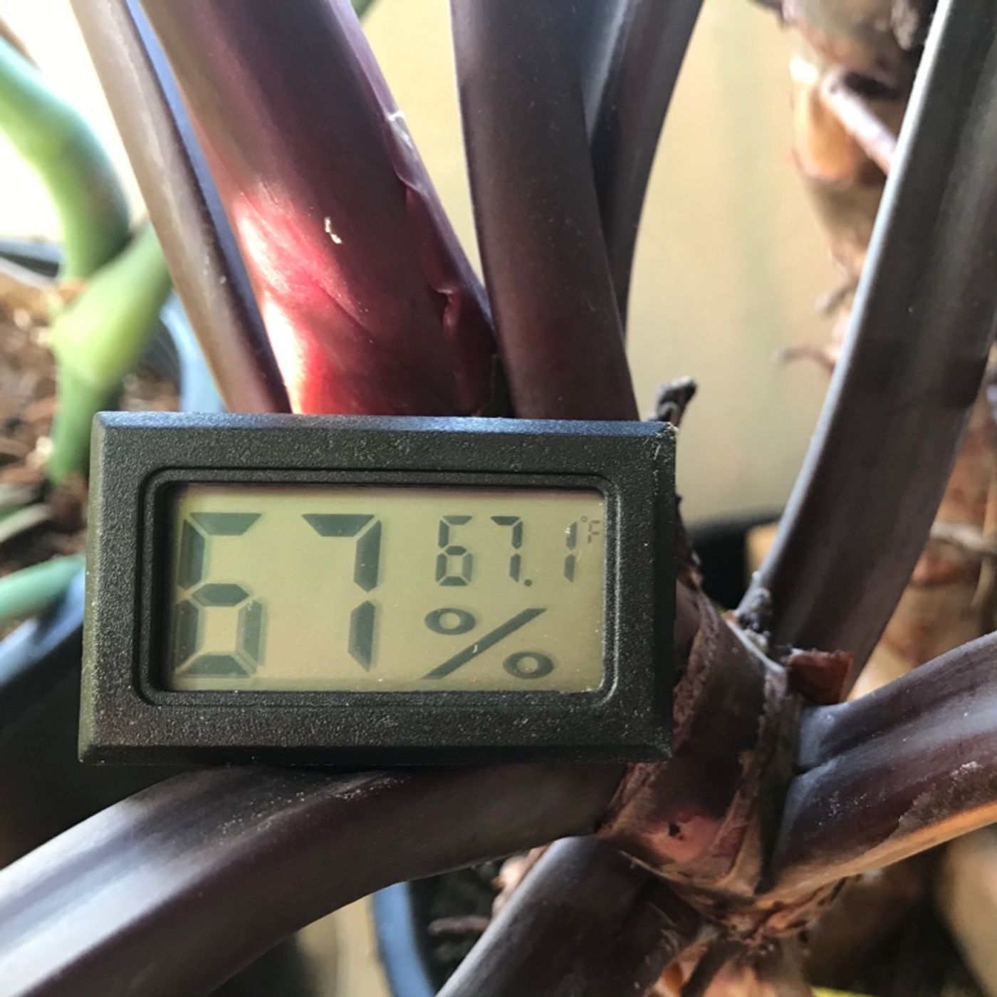 Episode 7 - Hygrometers and relative humidity
