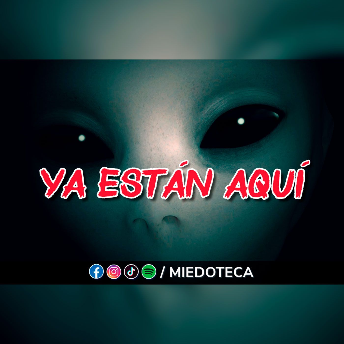 Miedoteca