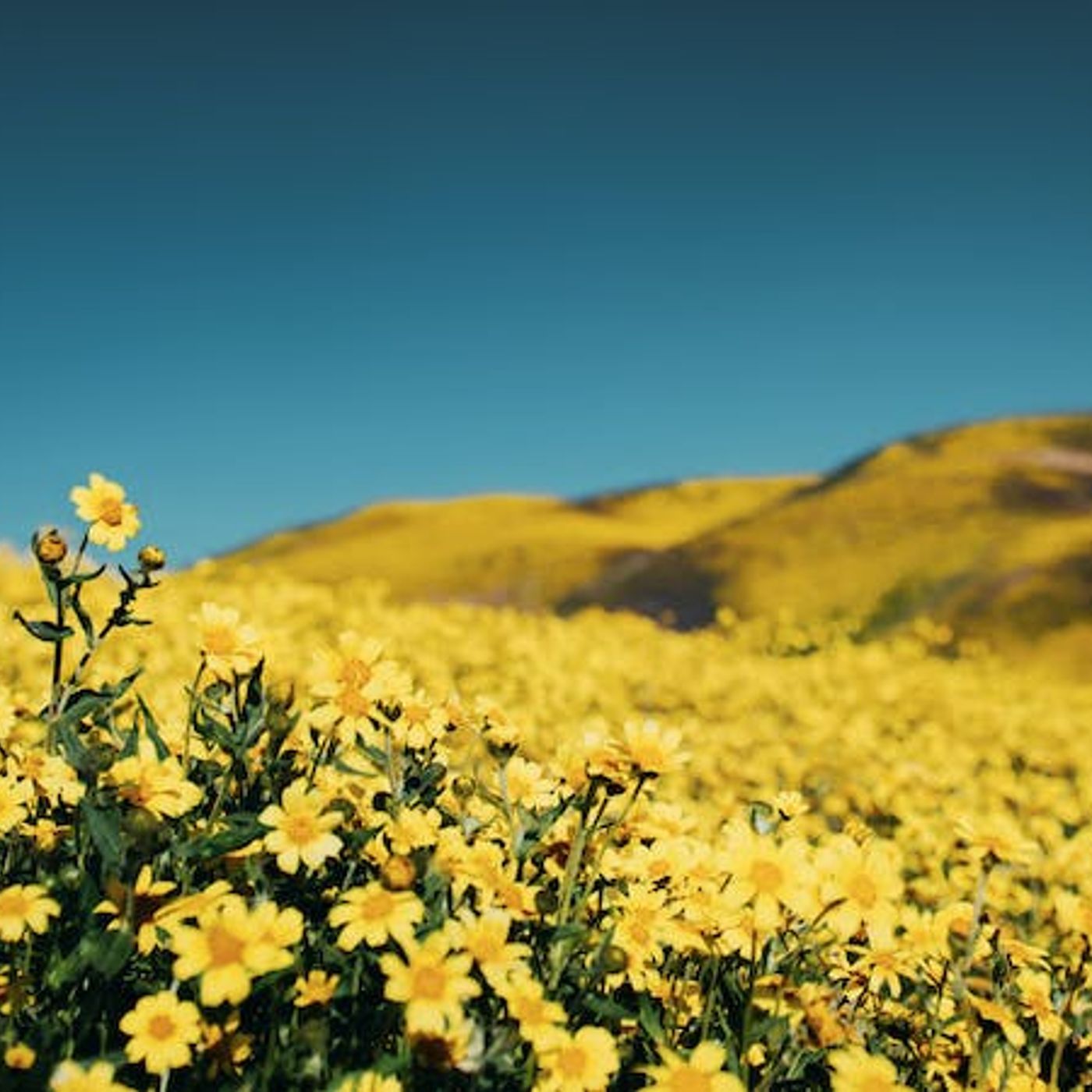 Is Enjoying God the Same as Glorifying God?