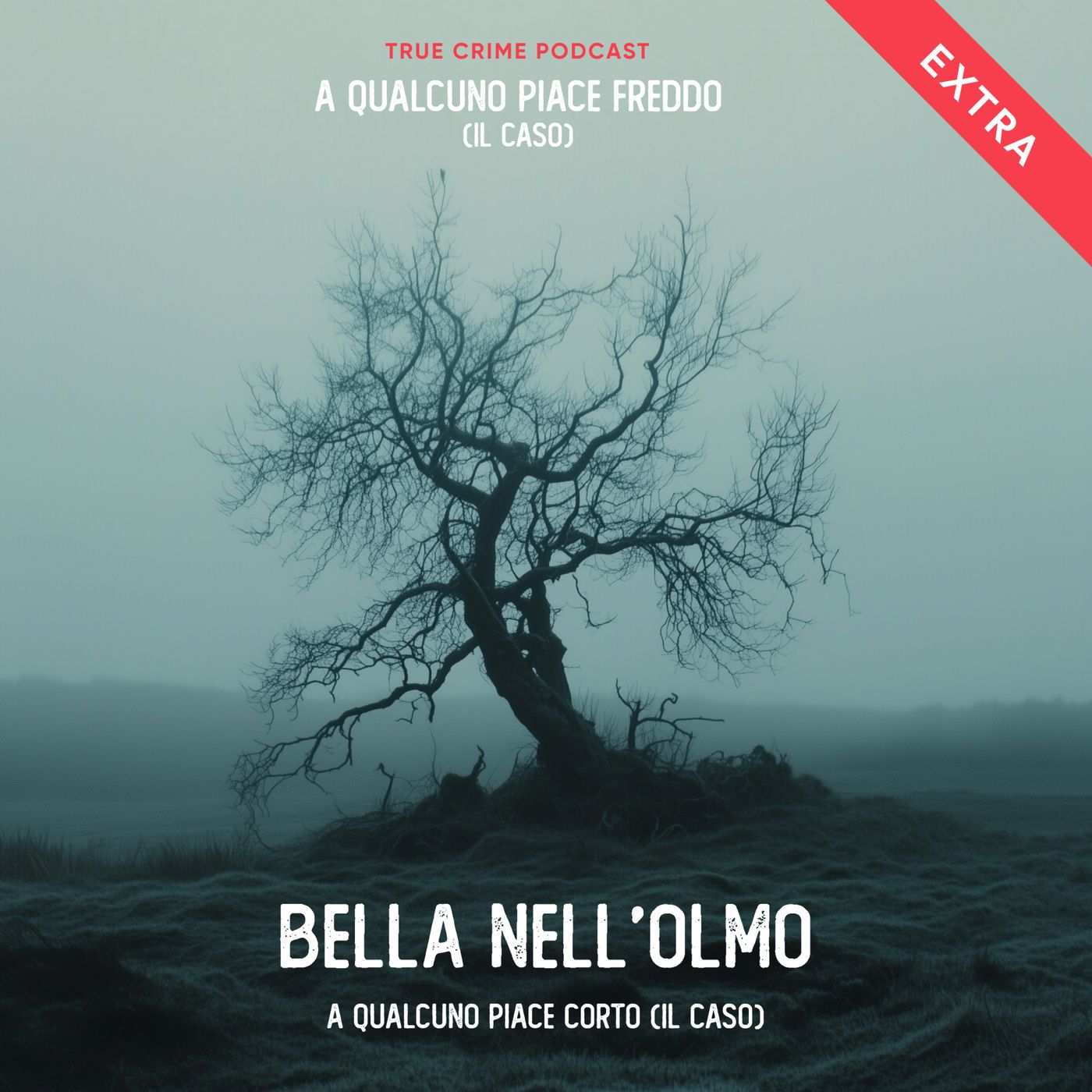 A qualcuno piace freddo (il caso)