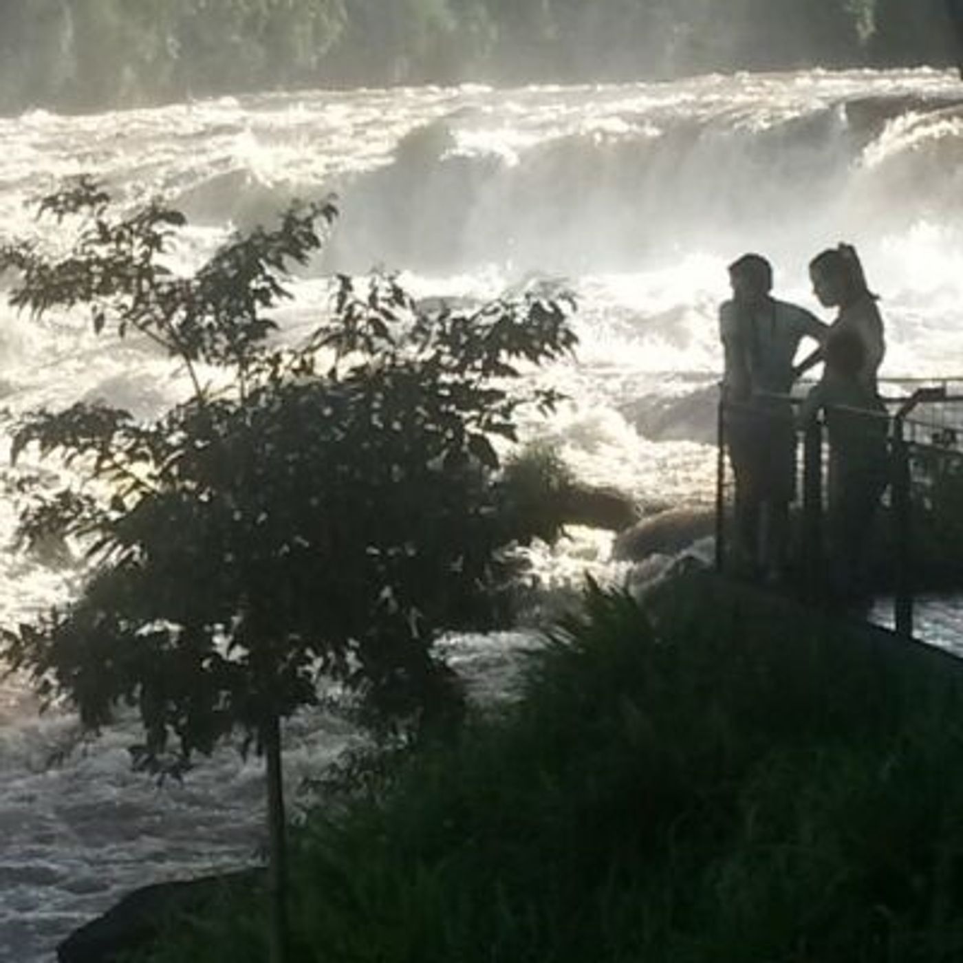 Estamos todos Locos 8X