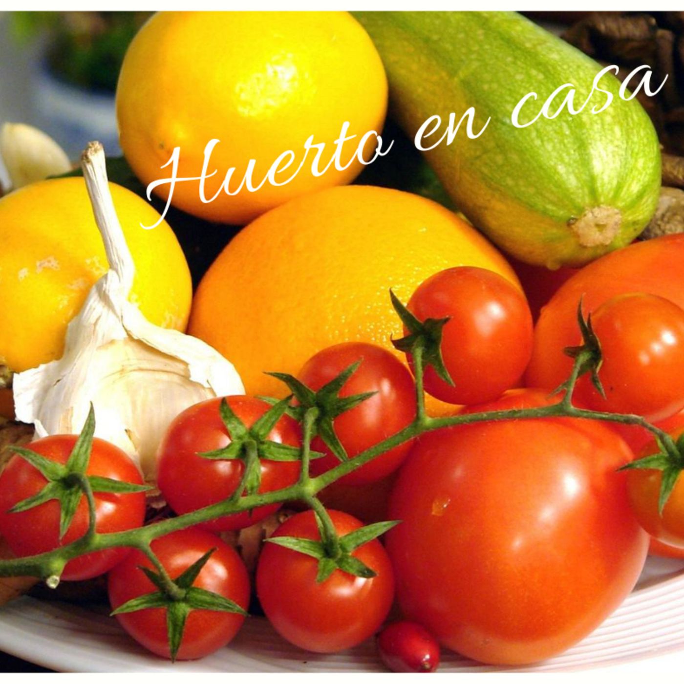 Huerto en casa