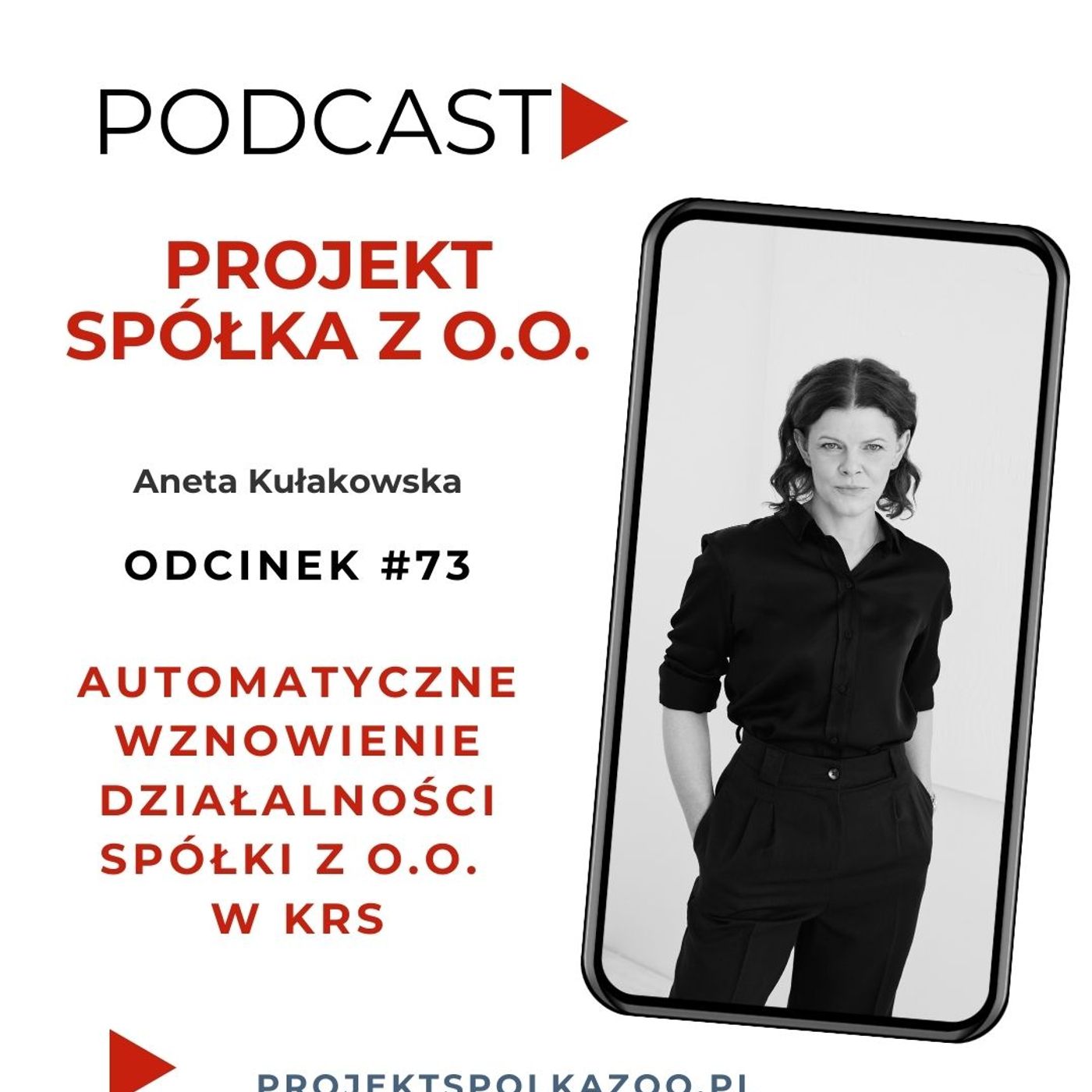 Automatyczne wznowienie działalności spółki z o.o. w KRS