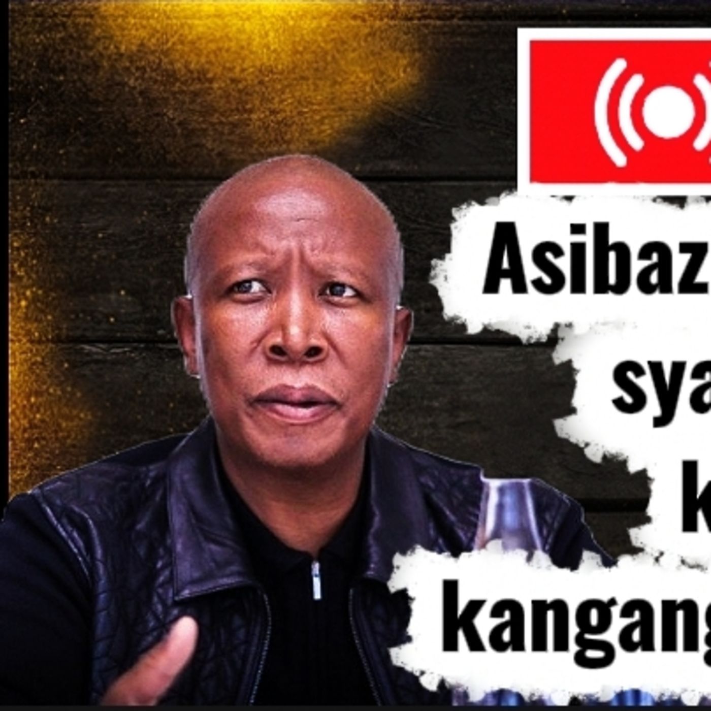 Julius Malema uveza okungaziwa ngabelungu e-South Africa