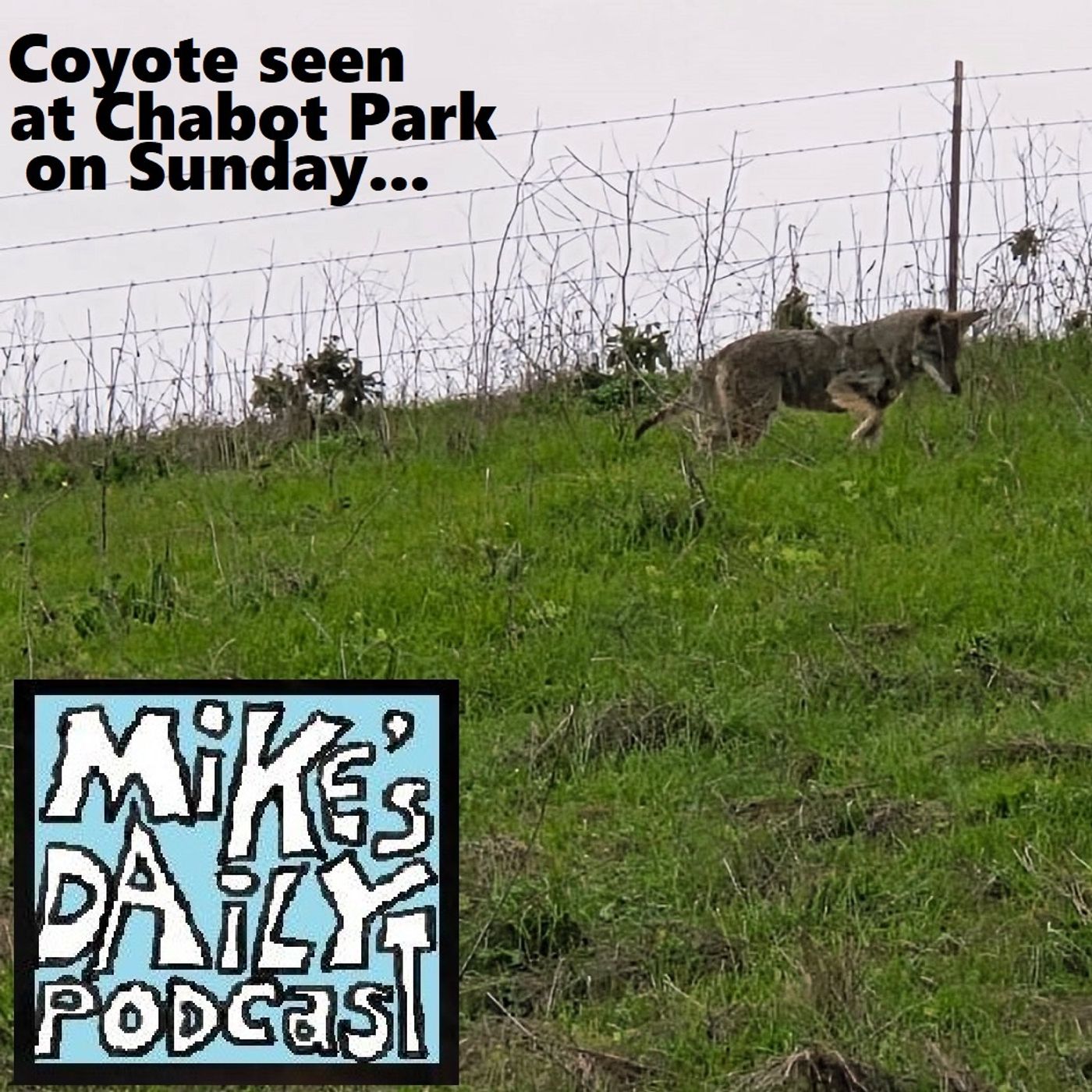 MikesDailyPodcast 3260 Viewers episode artwork