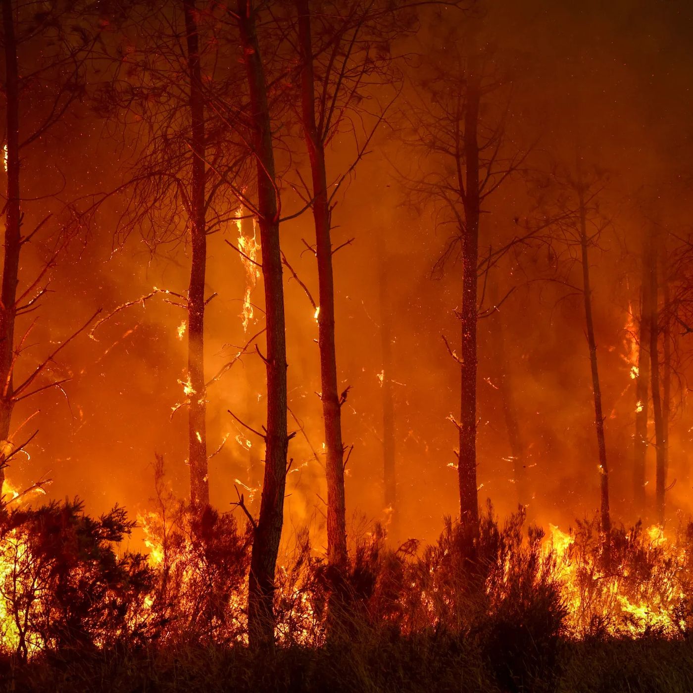 France and Spain's wildfires - Is the worst yet to come episode artwork
