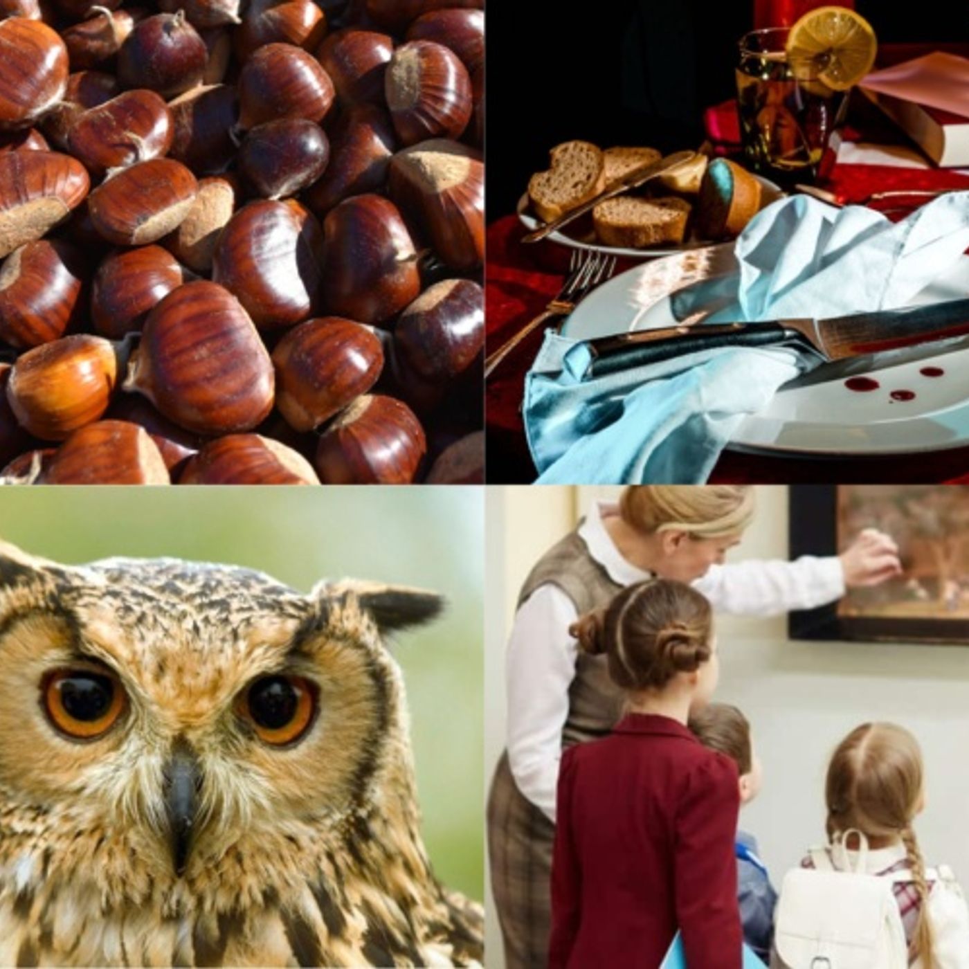 Castagne, cena con delitto, rapaci notturni e famiglie al museo: ecco gli eventi del weekend