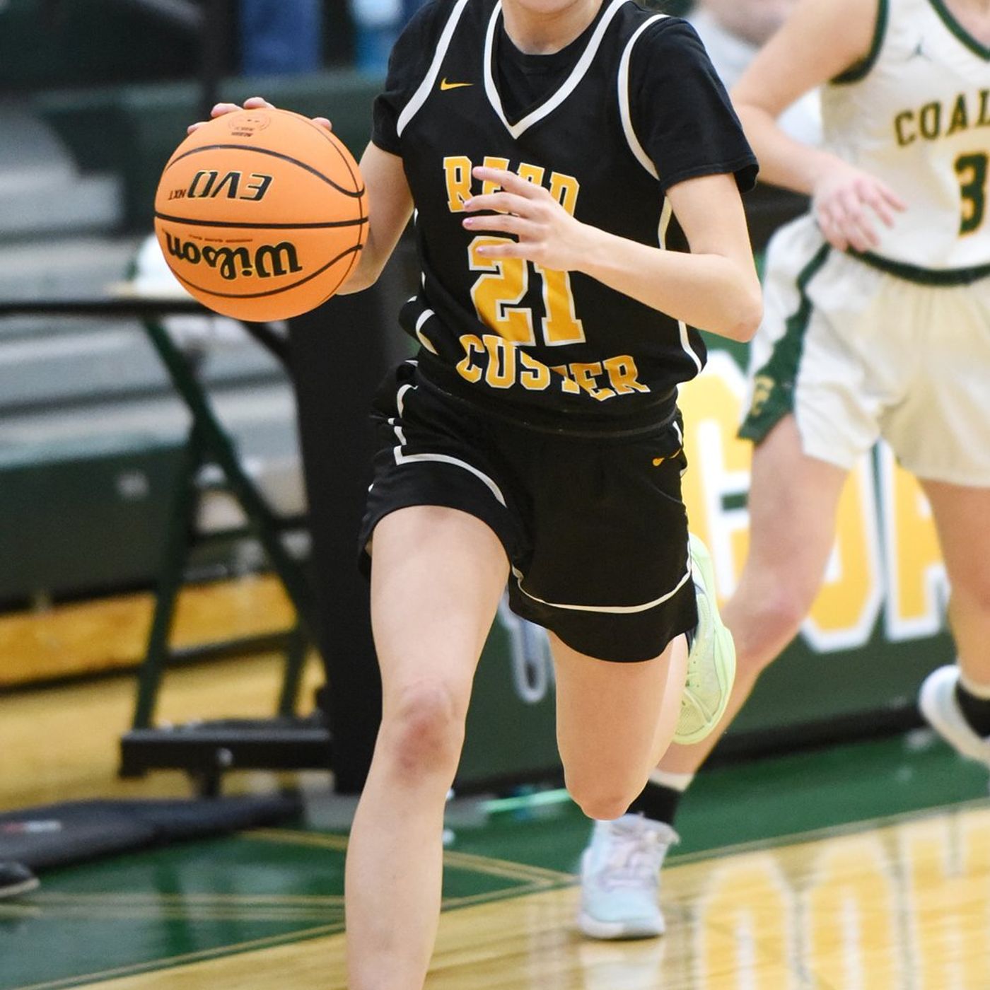 Daily Journal Athlete of the Week: Reed-Custer’s Alyssa Wollenzein episode artwork