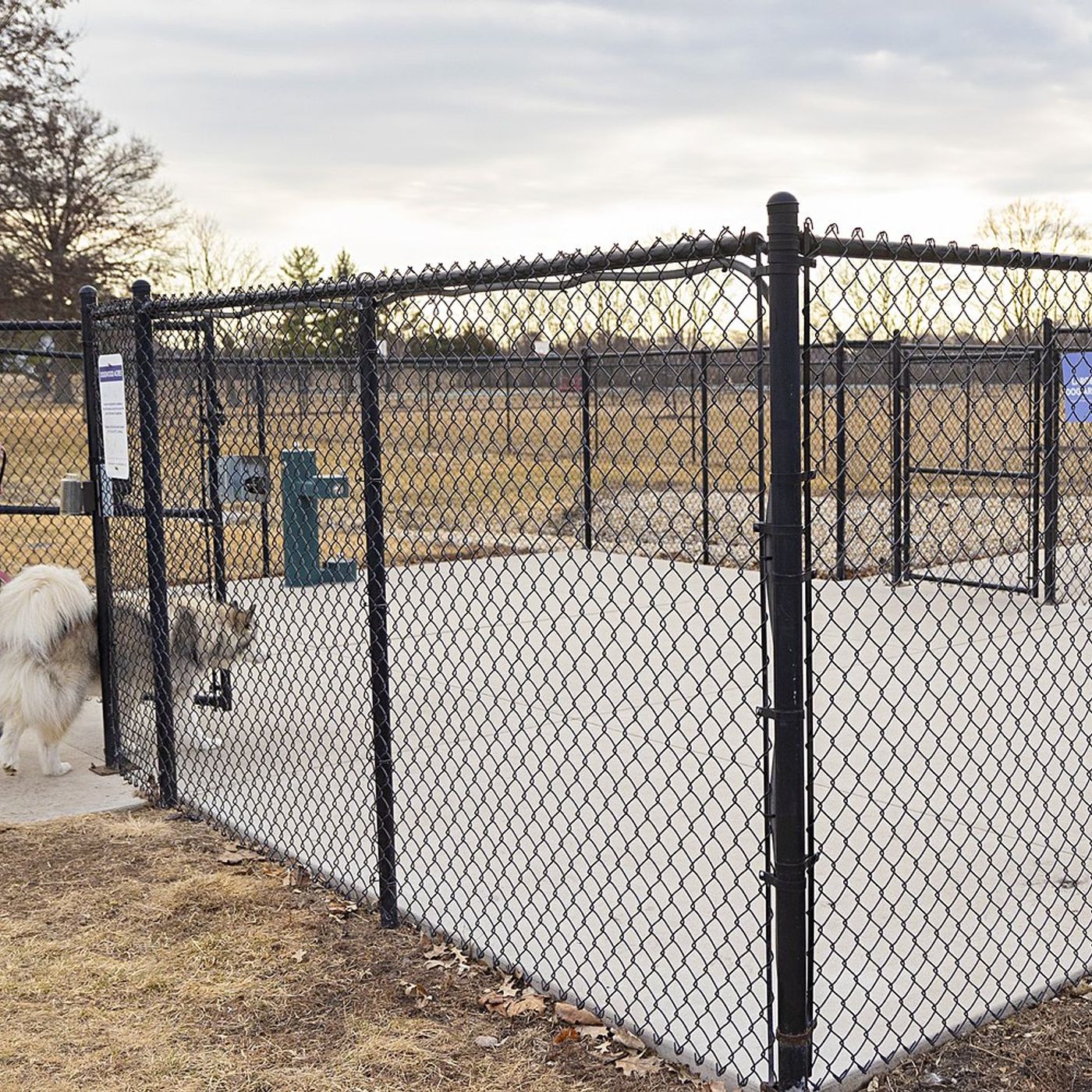 Sterling dog park committee ready to run with plans for park episode artwork