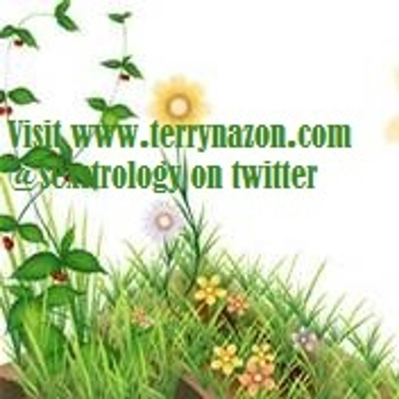 Taurus Daily Horoscope Monday Mar. 24 episode artwork