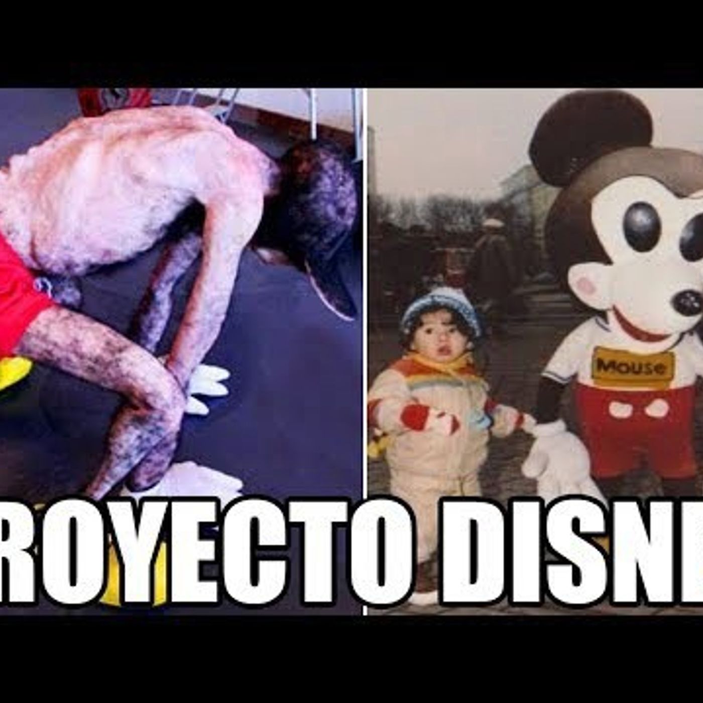 El Proyecto Secreto de DISNEY _ El Hombre que se Convirtió en Mickey Mouse.. episode artwork