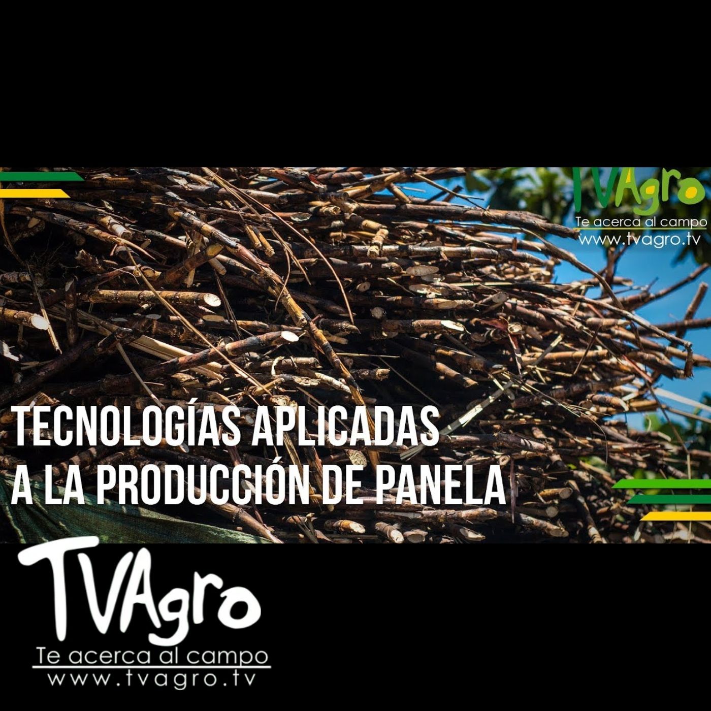 TV AGRO