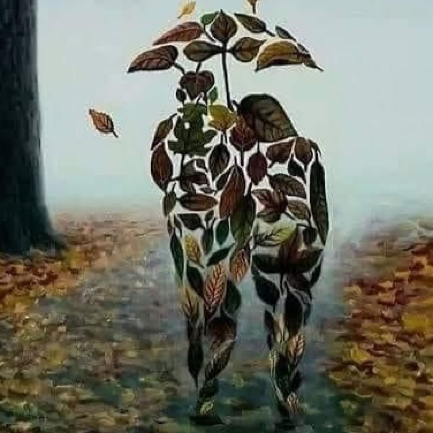 El hombre que ame me quito la vida