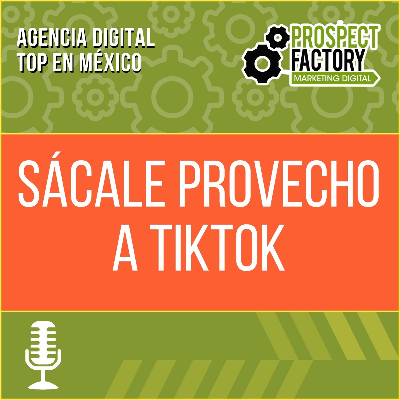 ¿Cómo aprovechar el potencial de TikTok? episode artwork