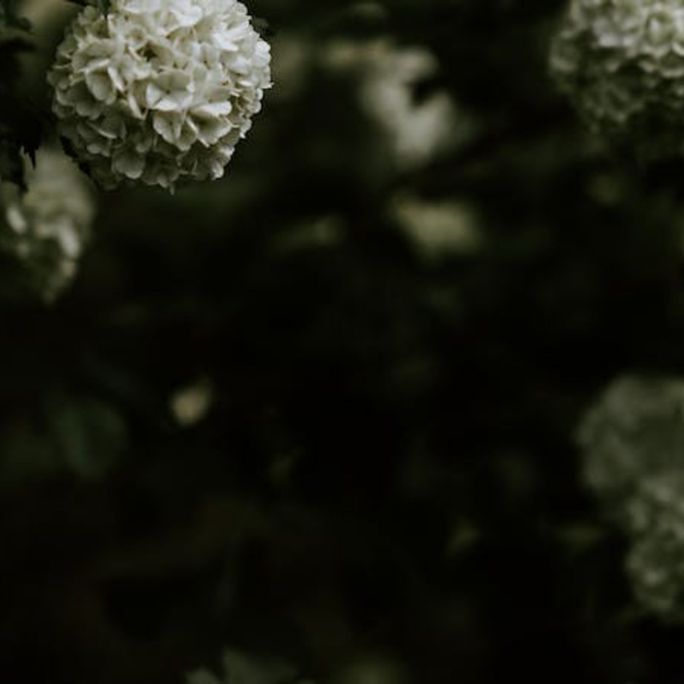 Will I Suffer More If I Follow Jesus?