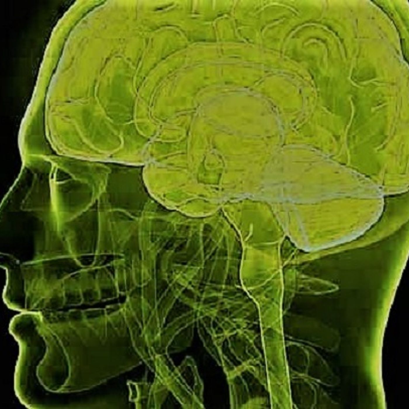 Neurologia