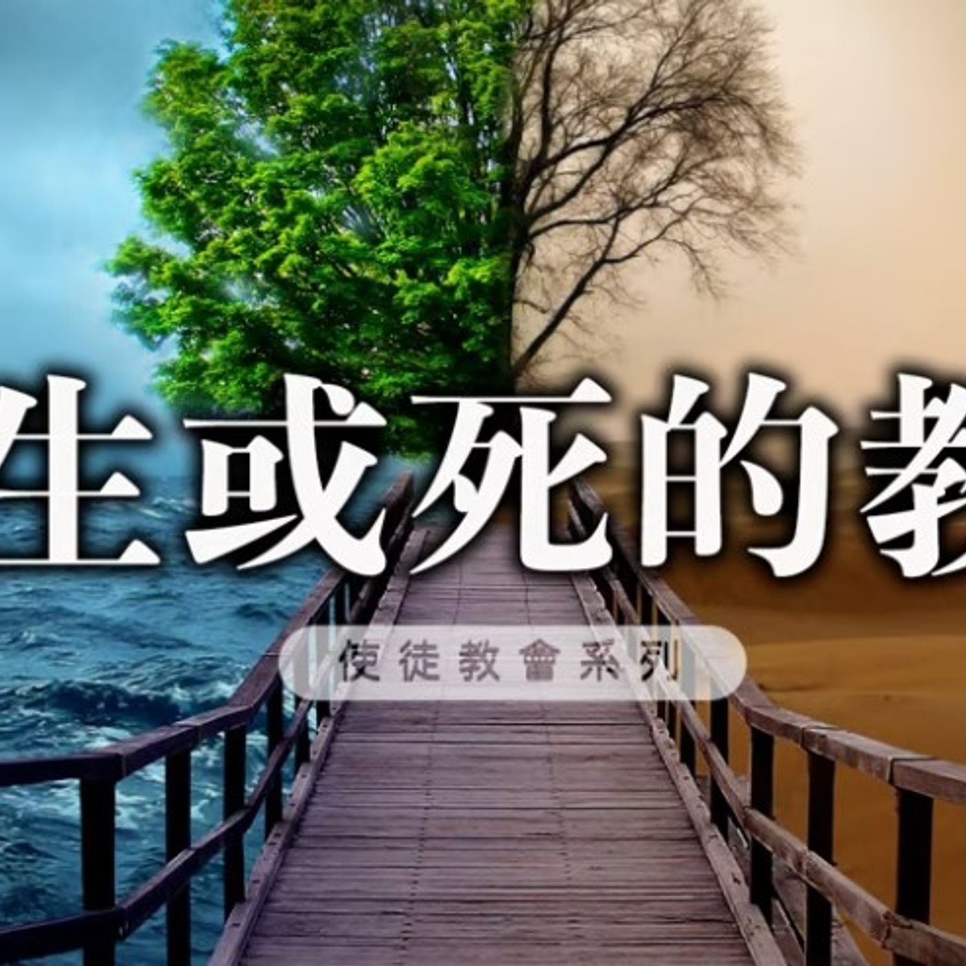 或生或死的教會 | Jim Cheung episode artwork