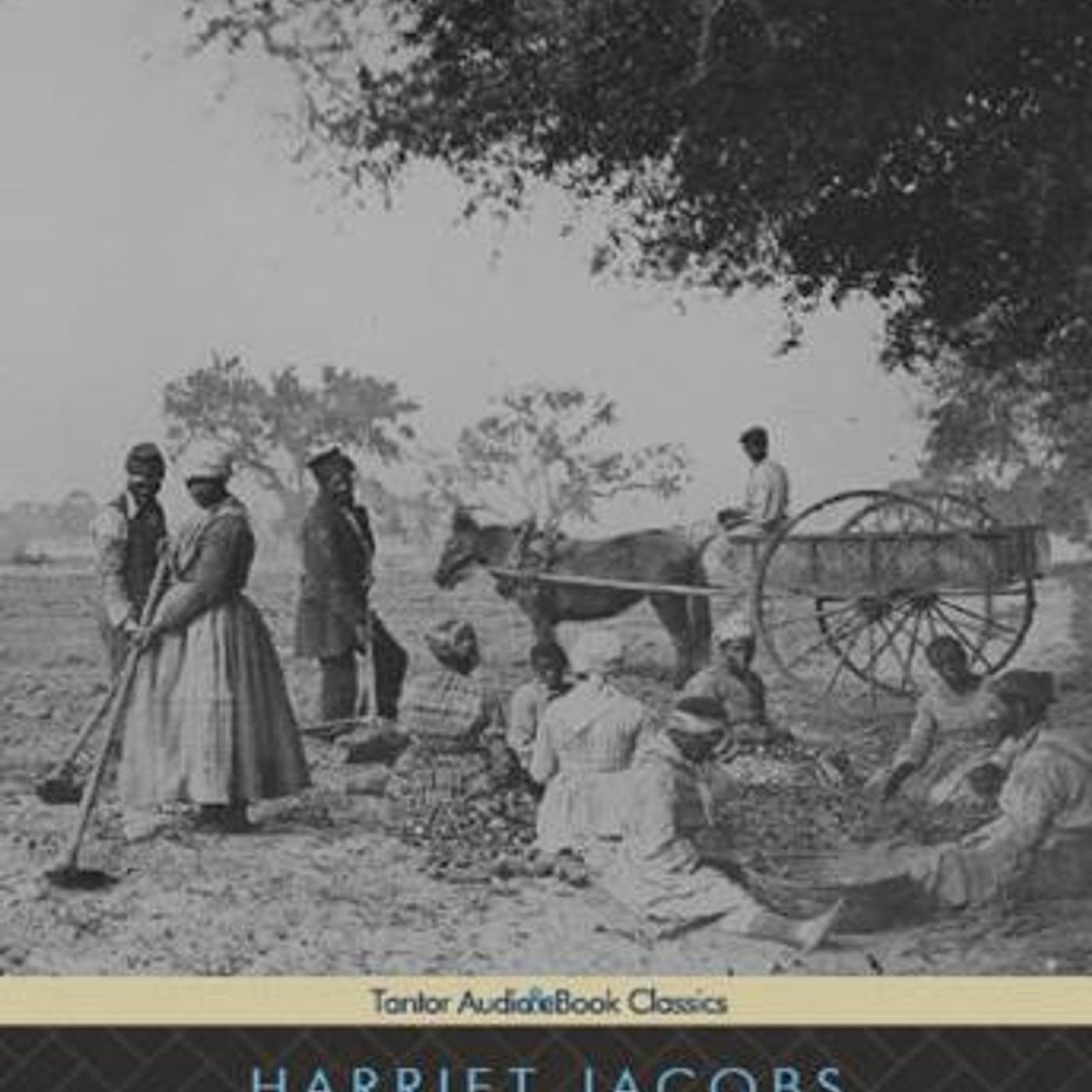 Enjoy Amazing Full Audiobooks in Non-Fiction, Social Science
