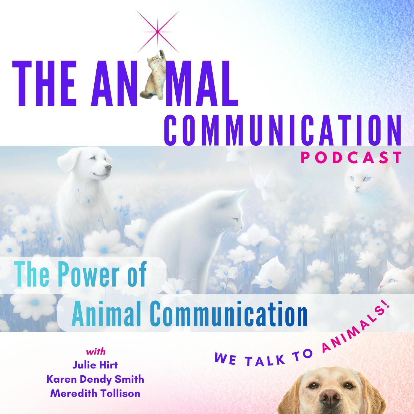The Power of Animal Communication episode artwork
