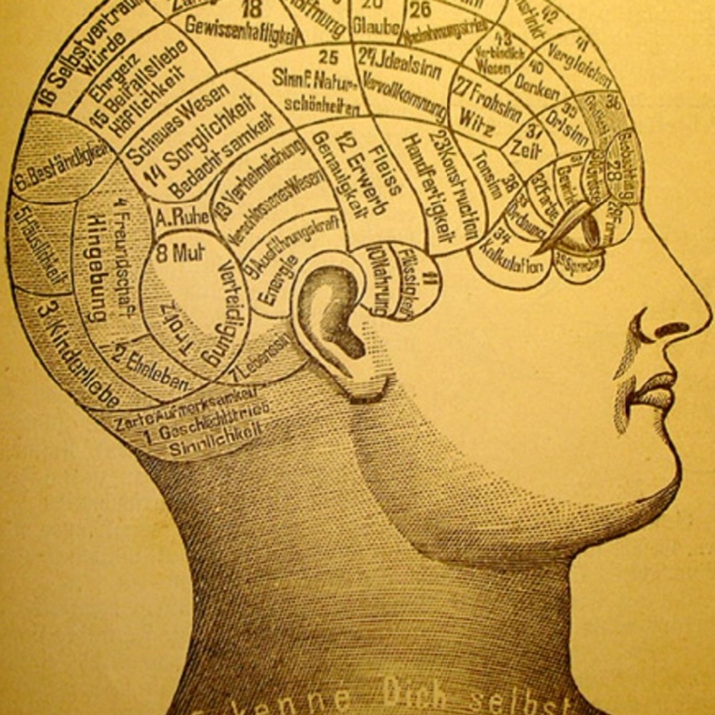 O que é Filosofia? episode artwork