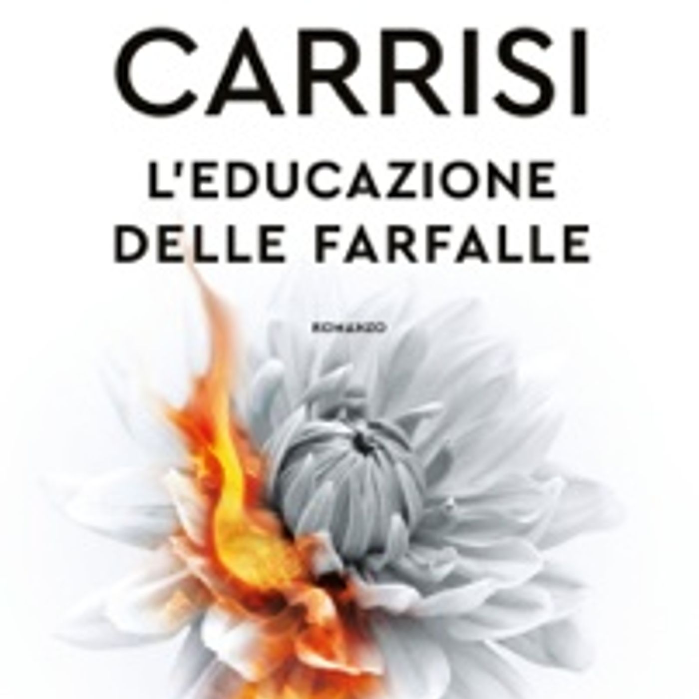Libri leggere online - it90320211