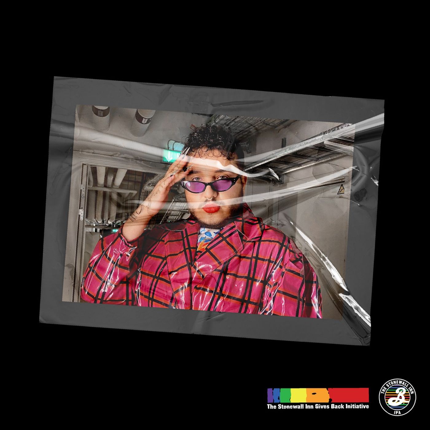 Stonewall Sessions: Queer kunst episode artwork