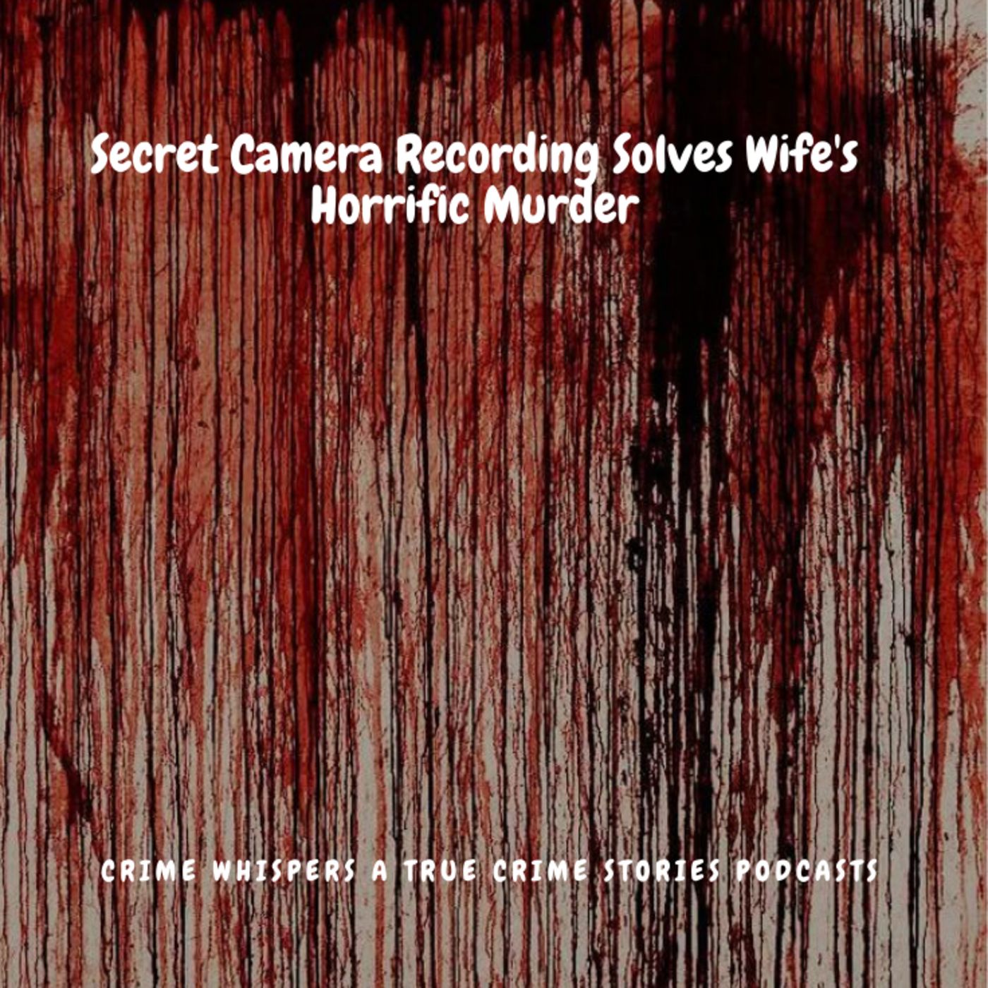 Secret Camera Recording Solves Wife's Horrific Murder episode artwork