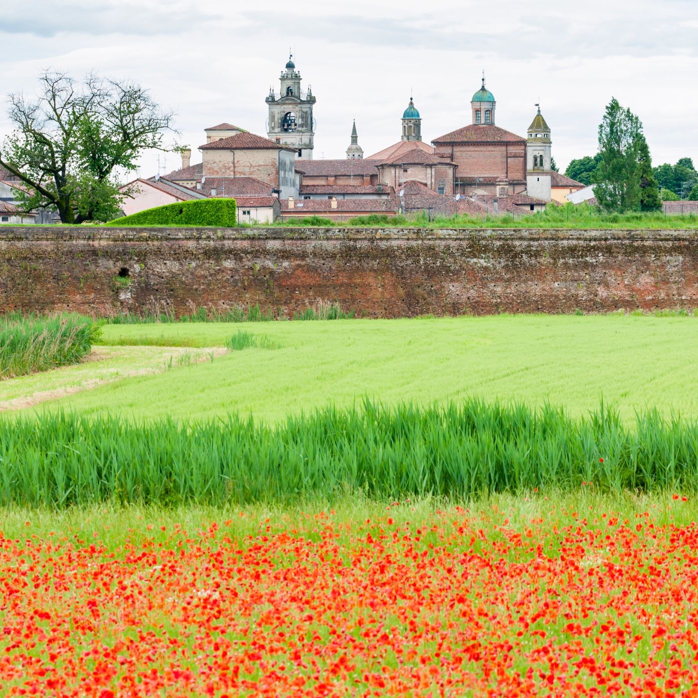 Estate Insieme cover art