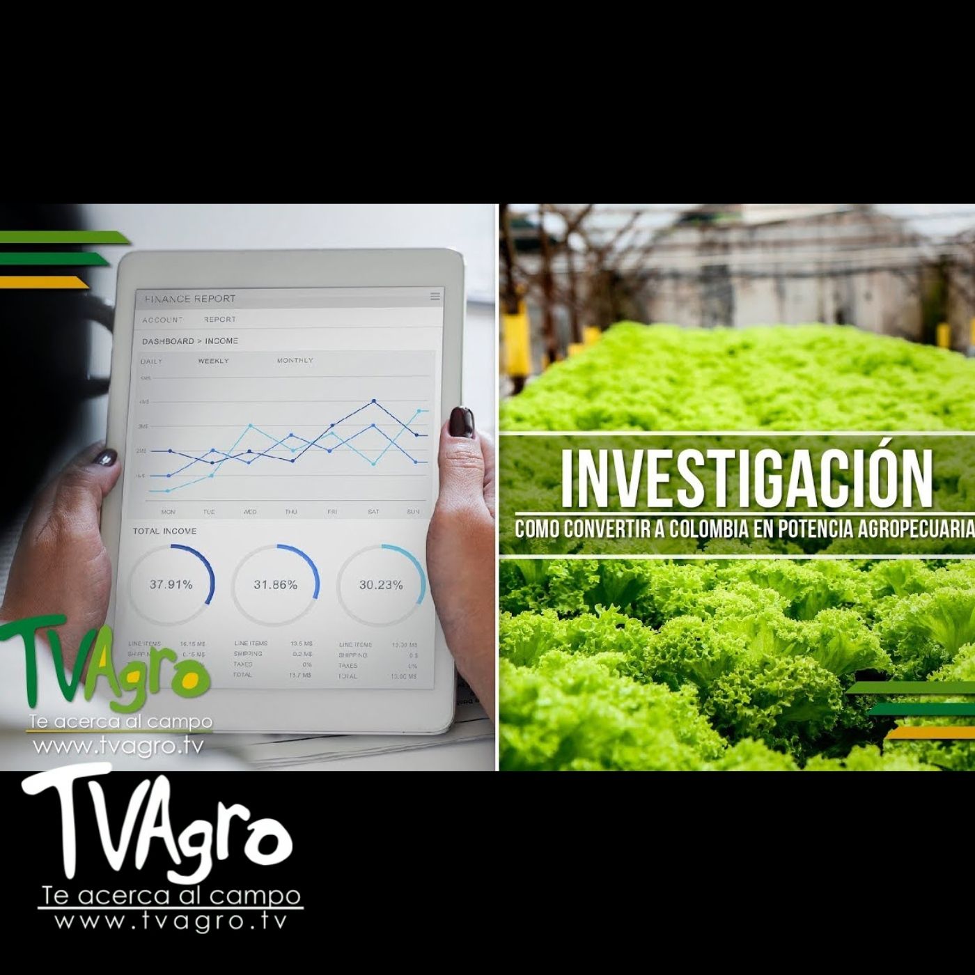 TV AGRO