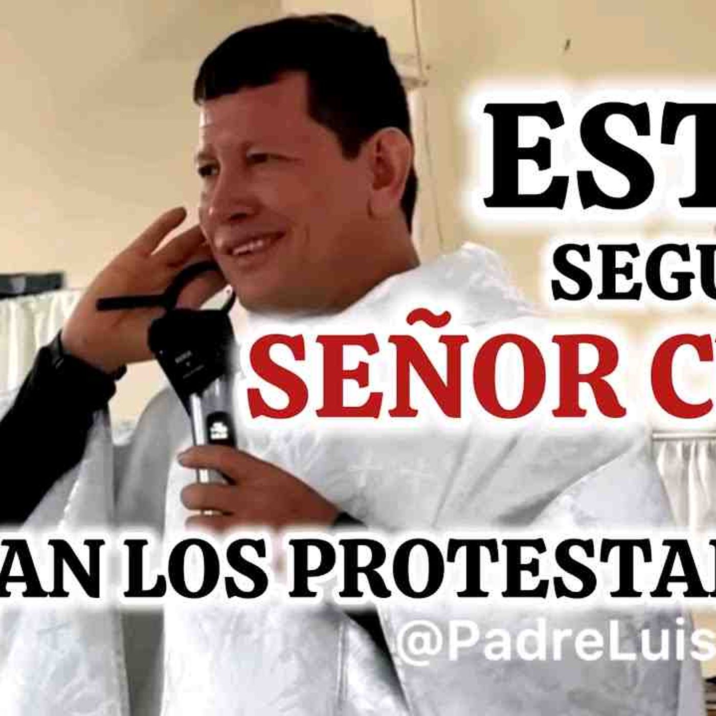EL ERROR MÁS GRANDE de Los PROTESTANTESLo Muestra El Padre Luis ToroBÍBLICO _94-25 episode artwork
