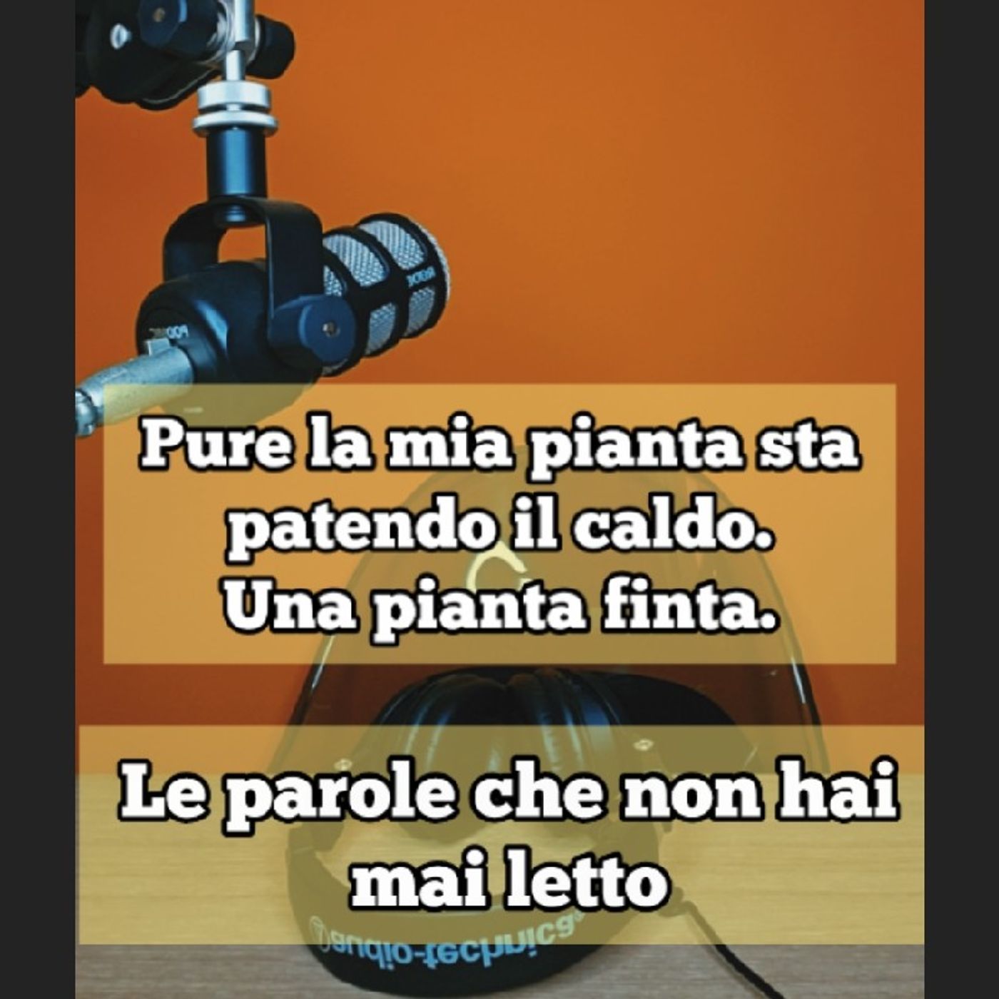 Episodio 1690 - Pure la mia pianta sta
patendo il caldo.
Una pianta finta. episode artwork