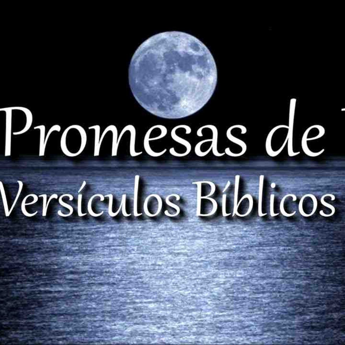 Versiculos Biblicos de paz y sanidad _ Biblia en audio _ Bible audio(MP3_160K) episode artwork