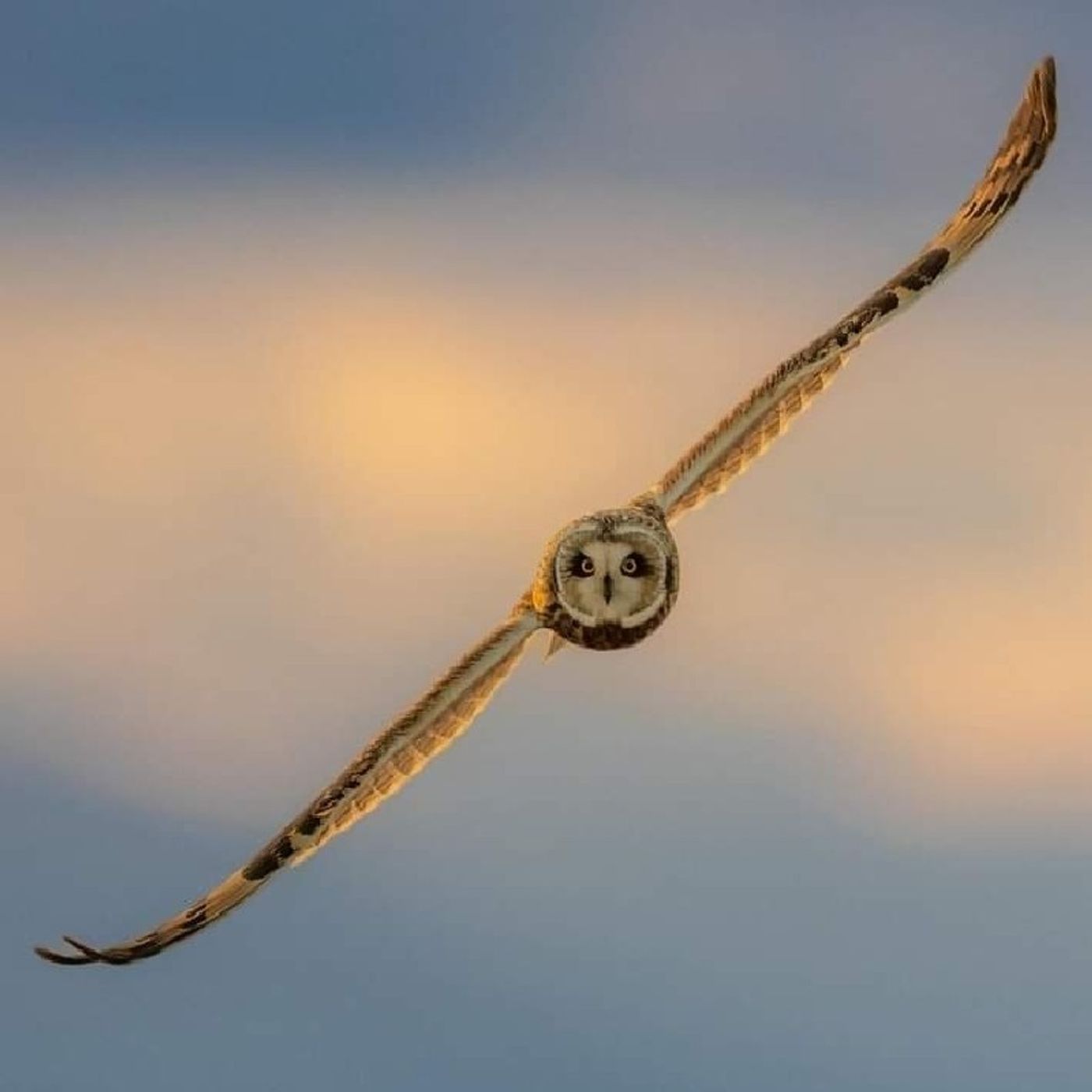 El podcast de Gonzalo Fernández Delgadil