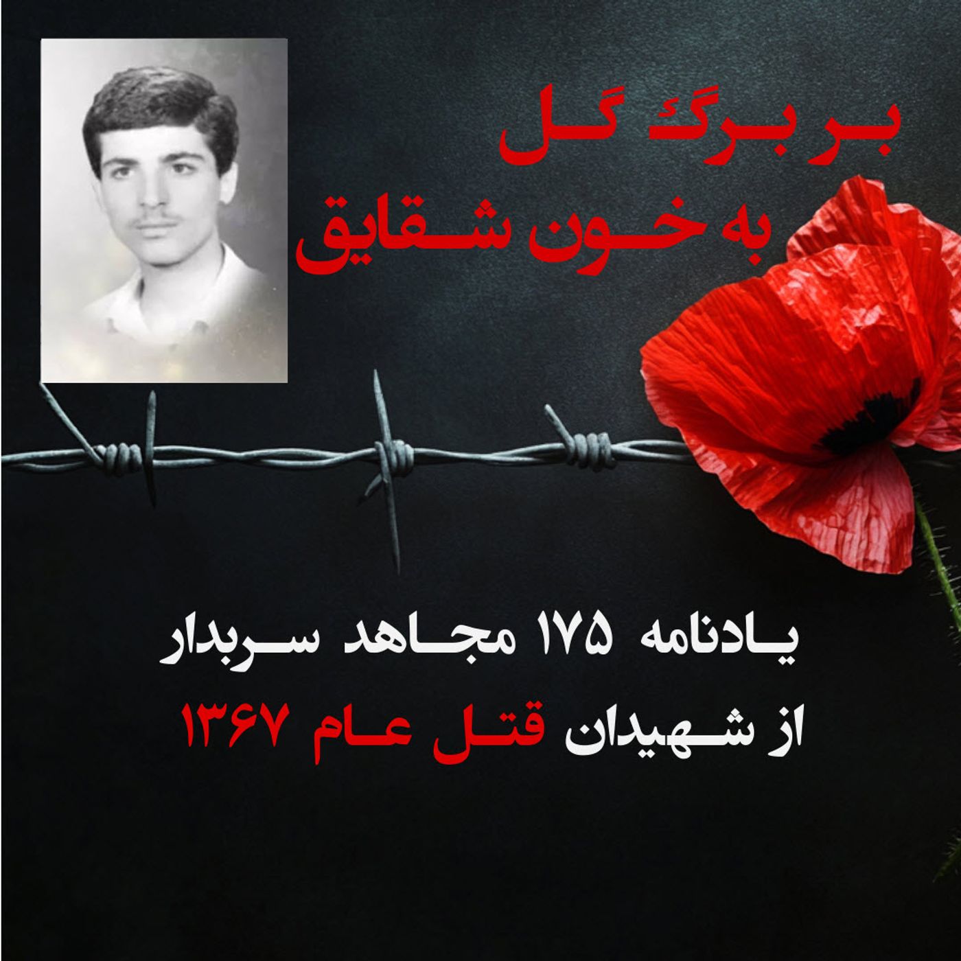 بربرگ گل به خون شقایق- علی صالحی اورزکی