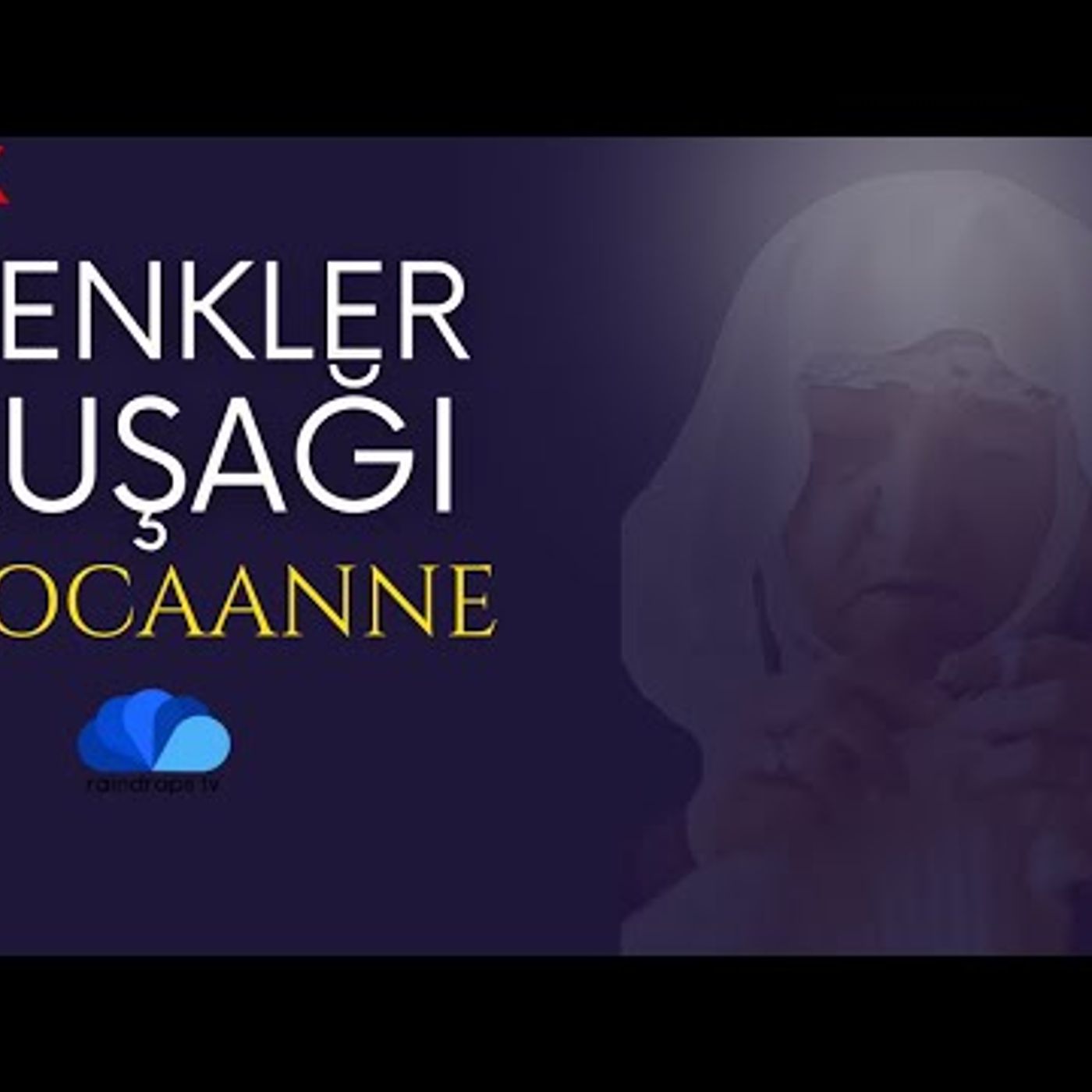 RENKLER KUŞAĞI