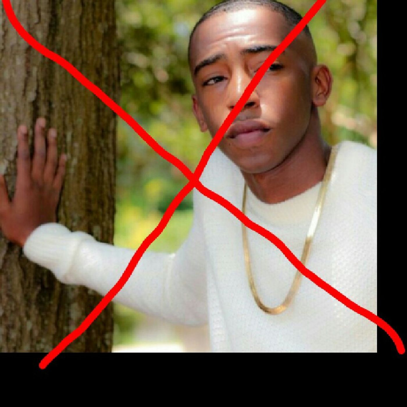 Fuck Andre : The album