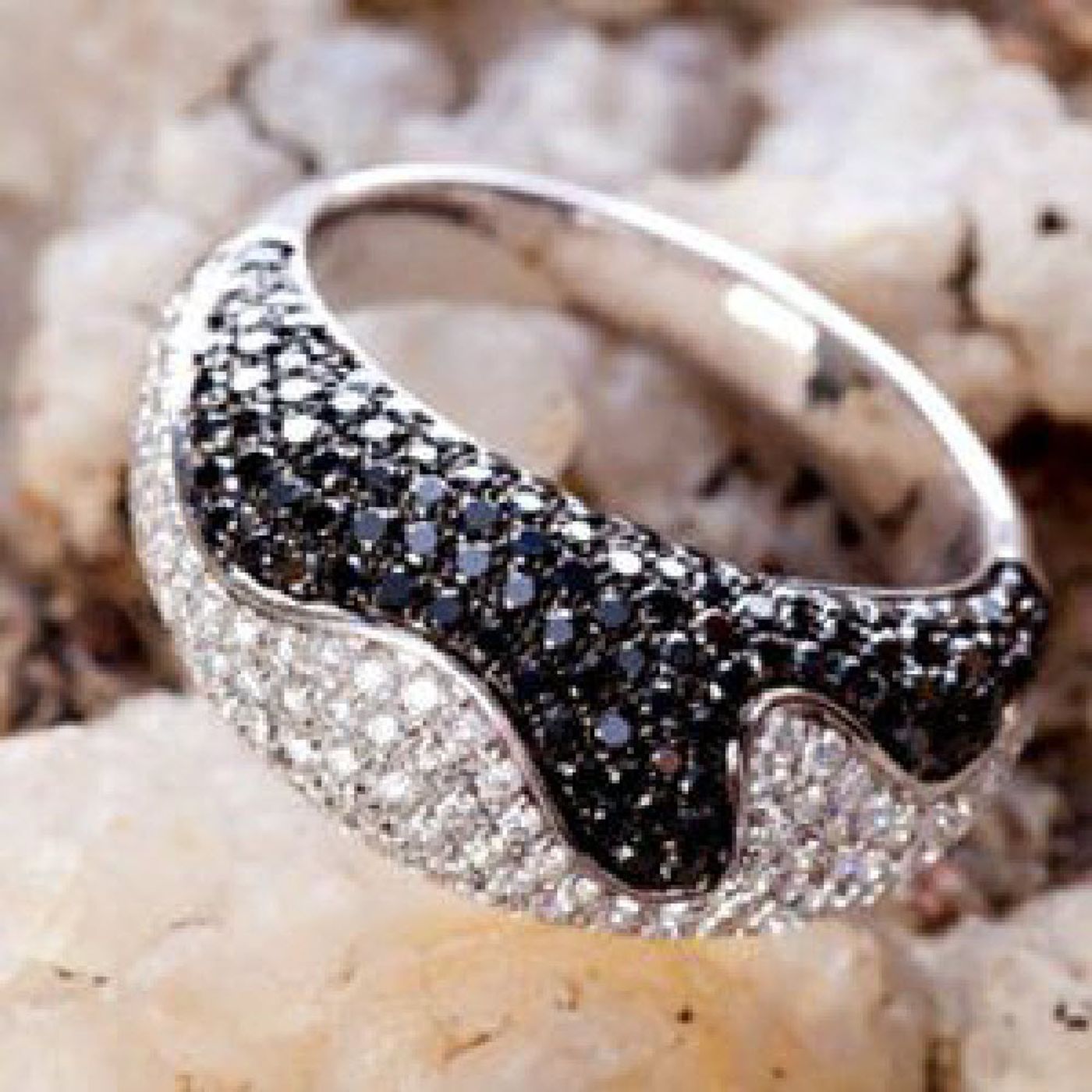 Wedding Rings Neenah\'s tracks