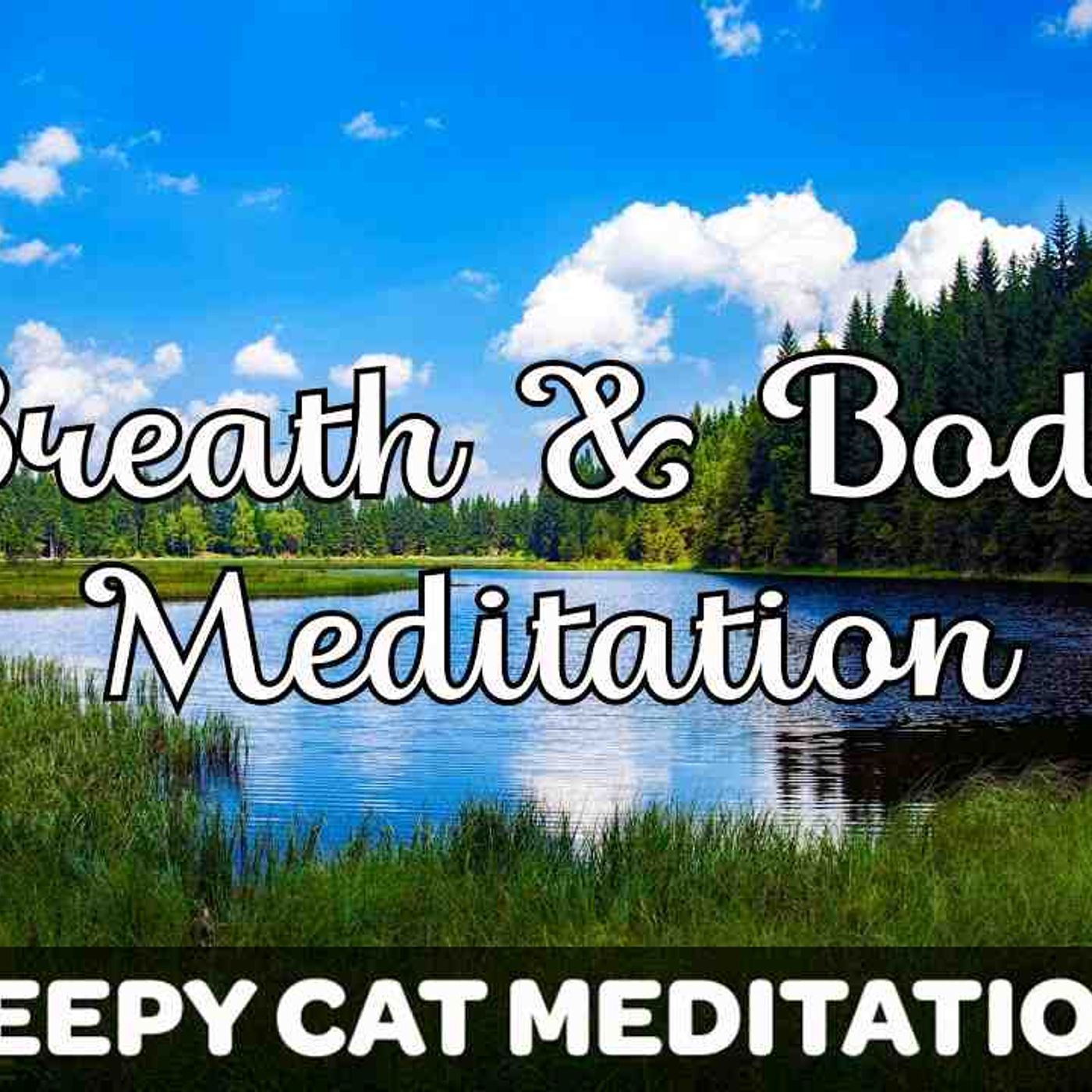 Connecting To Your Breath _ Body (Guided Meditation)(MP3_160K)